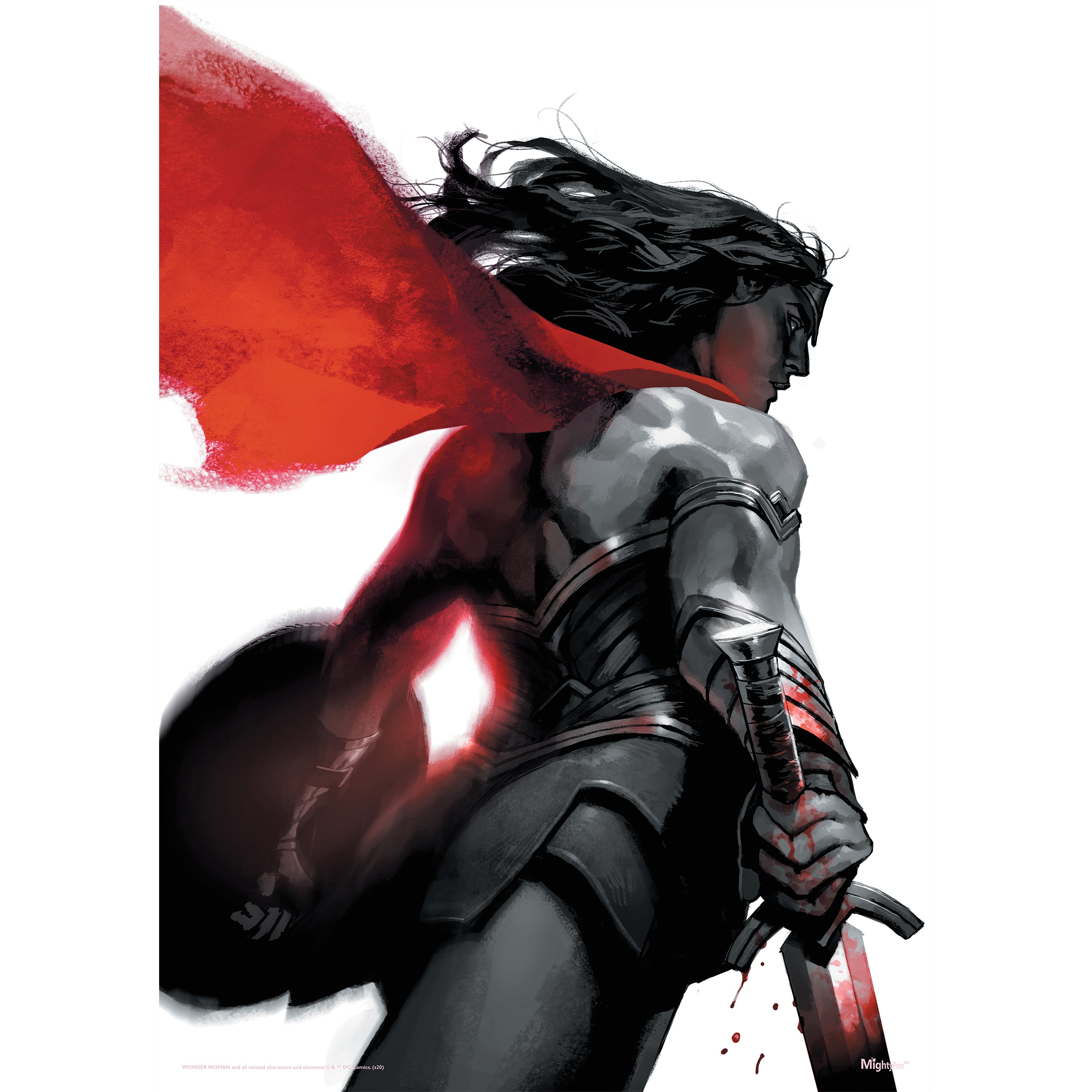DC Comcs (Wonder Woman - Negative Space) MightyPrint™ Wall Art MP17240593