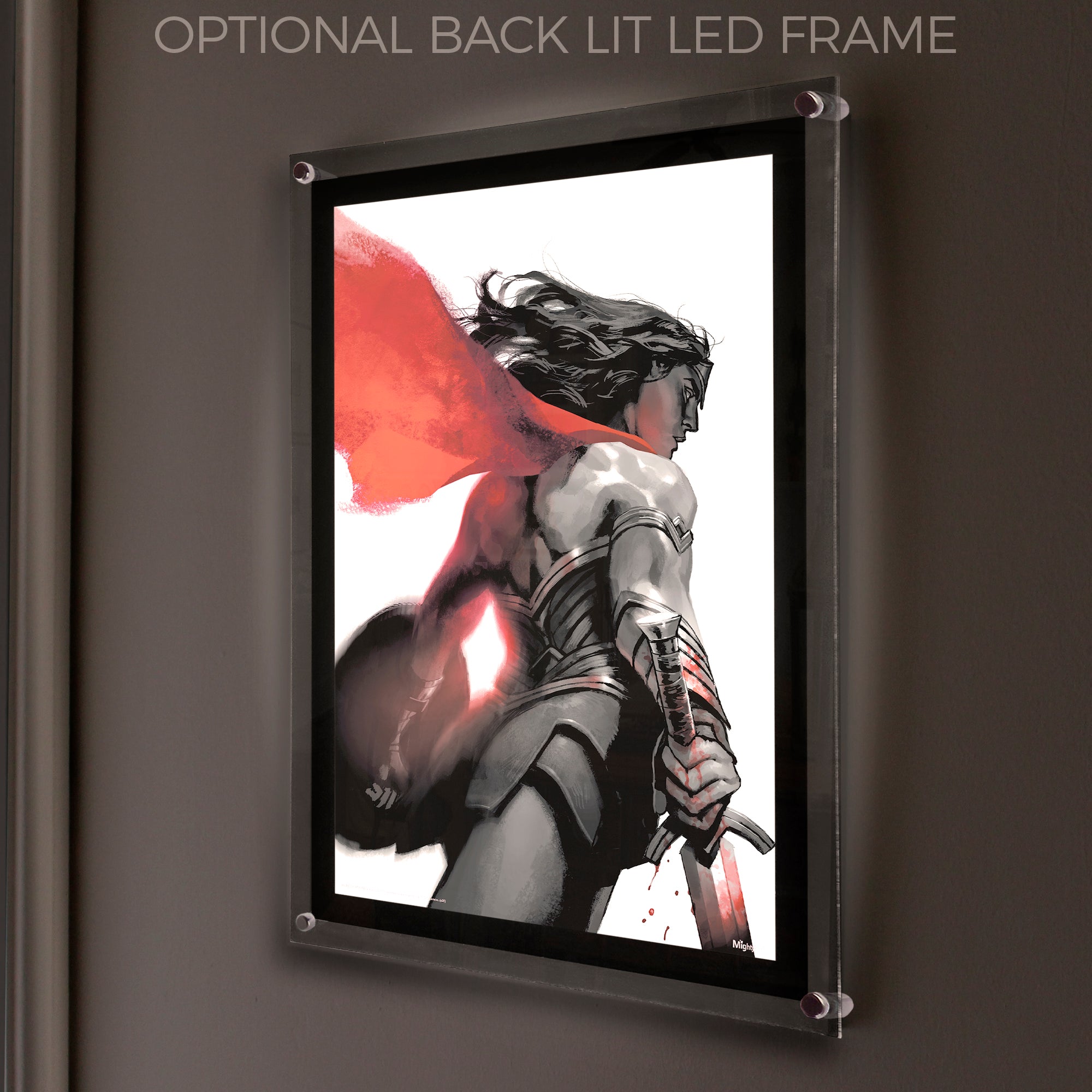 DC Comcs (Wonder Woman - Negative Space) MightyPrint™ Wall Art MP17240593