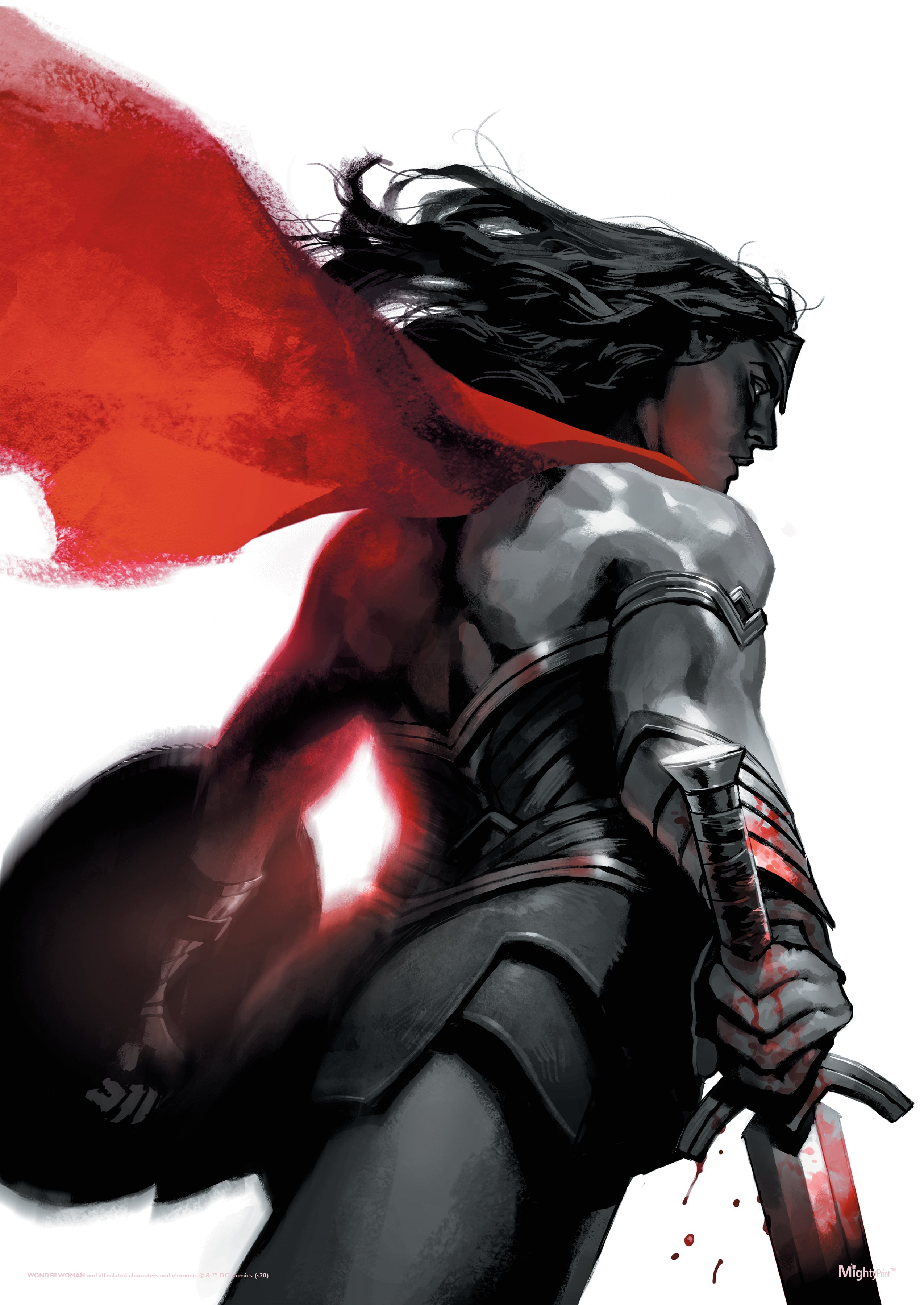 DC Comcs (Wonder Woman - Negative Space) MightyPrint™ Wall Art MP17240593