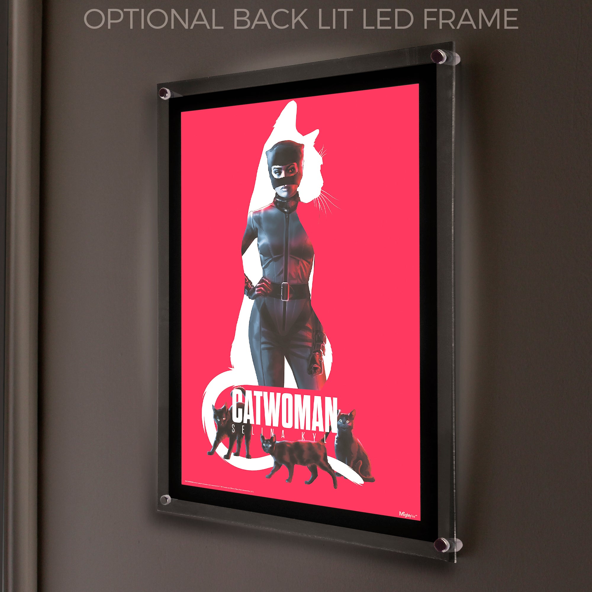 The Batman (Catwoman) MightyPrint™ Wall Art MP17240655
