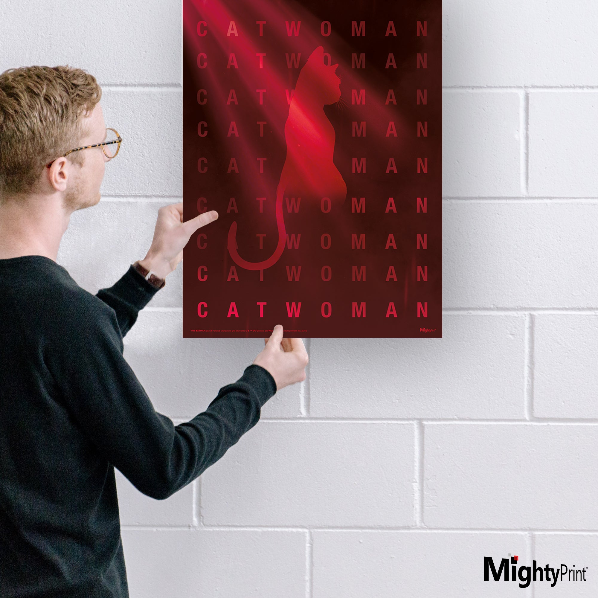 The Batman (Catwoman Shine) MightyPrint™ Wall Art MP17240659