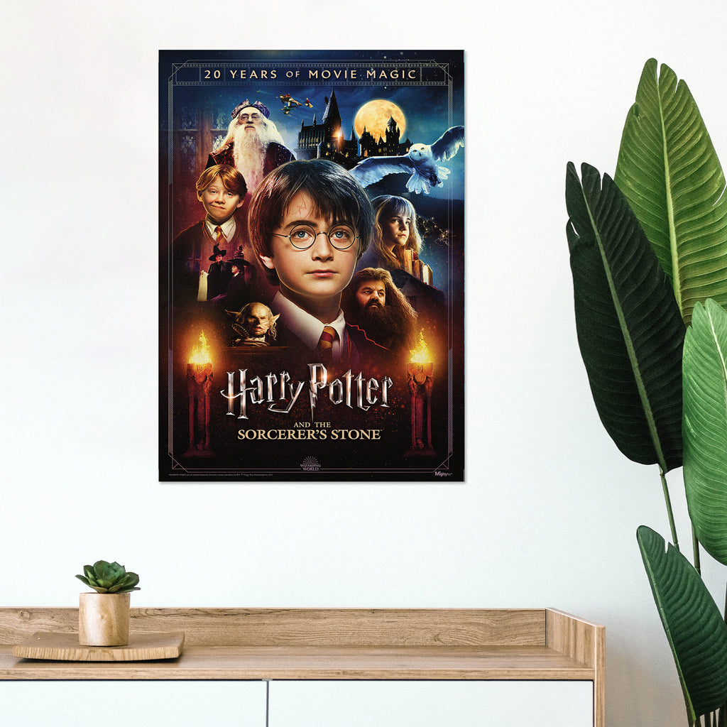 Harry Potter and the Sorcerers Stone (20th Anniversary) MightyPrint™ Wall Art MP17240699