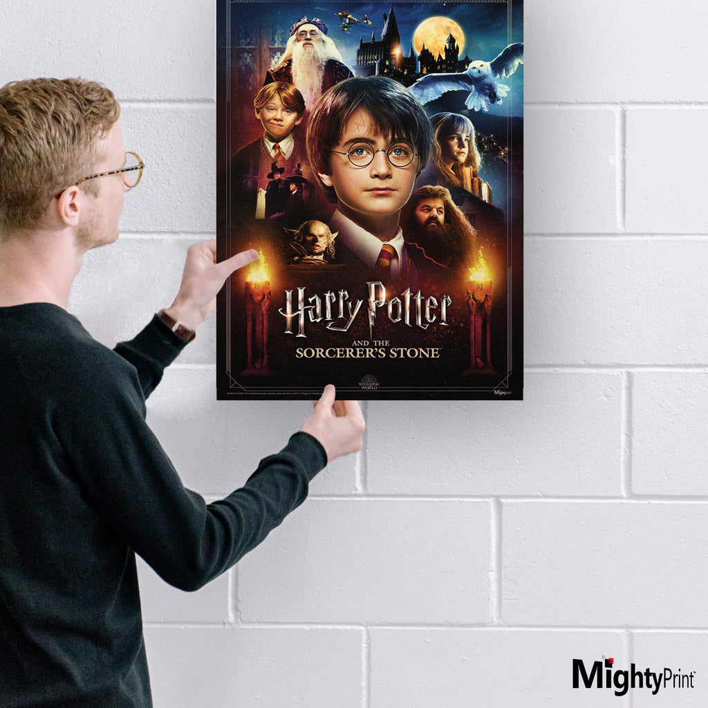 Harry Potter and the Sorcerers Stone (20th Anniversary) MightyPrint™ Wall Art MP17240699