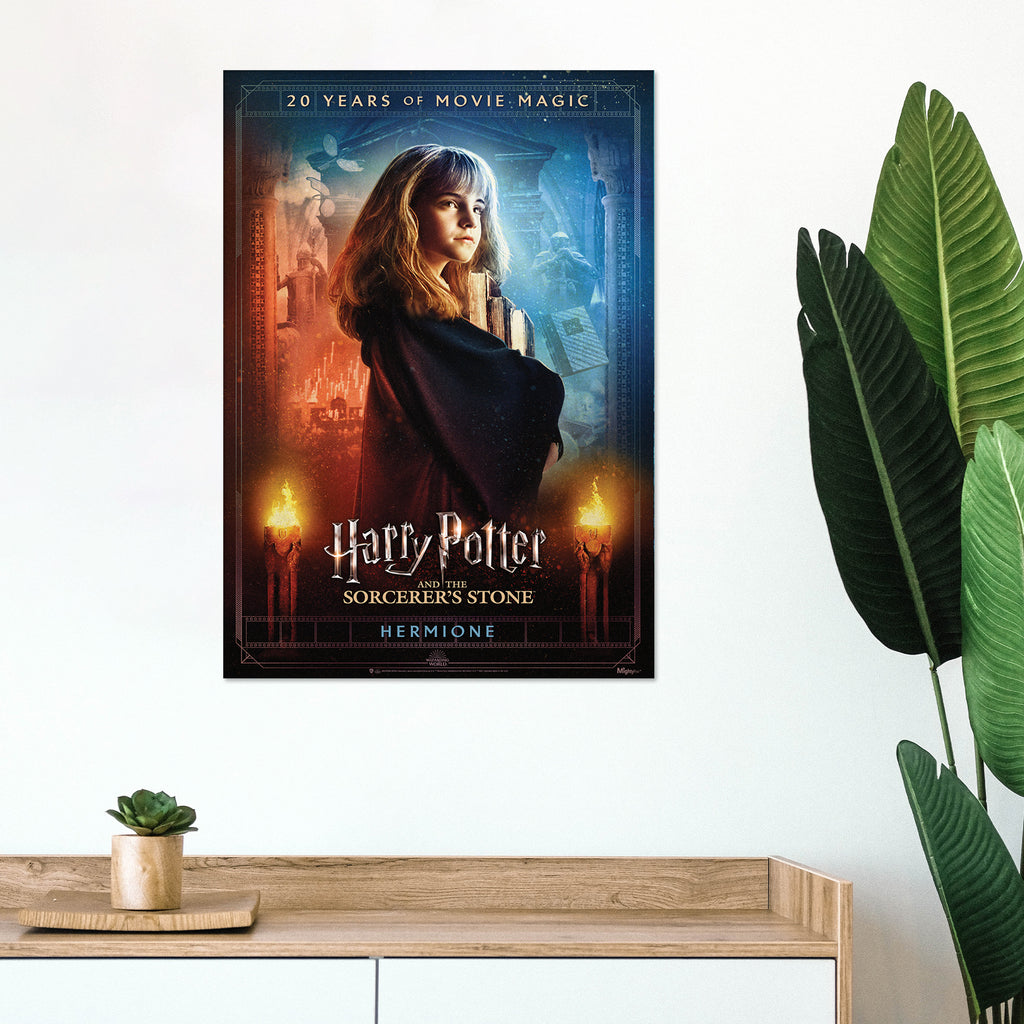 Harry Potter and the Sorcerers Stone (20th Anniversary - Hermione) MightyPrint™ Wall Art MP17240700