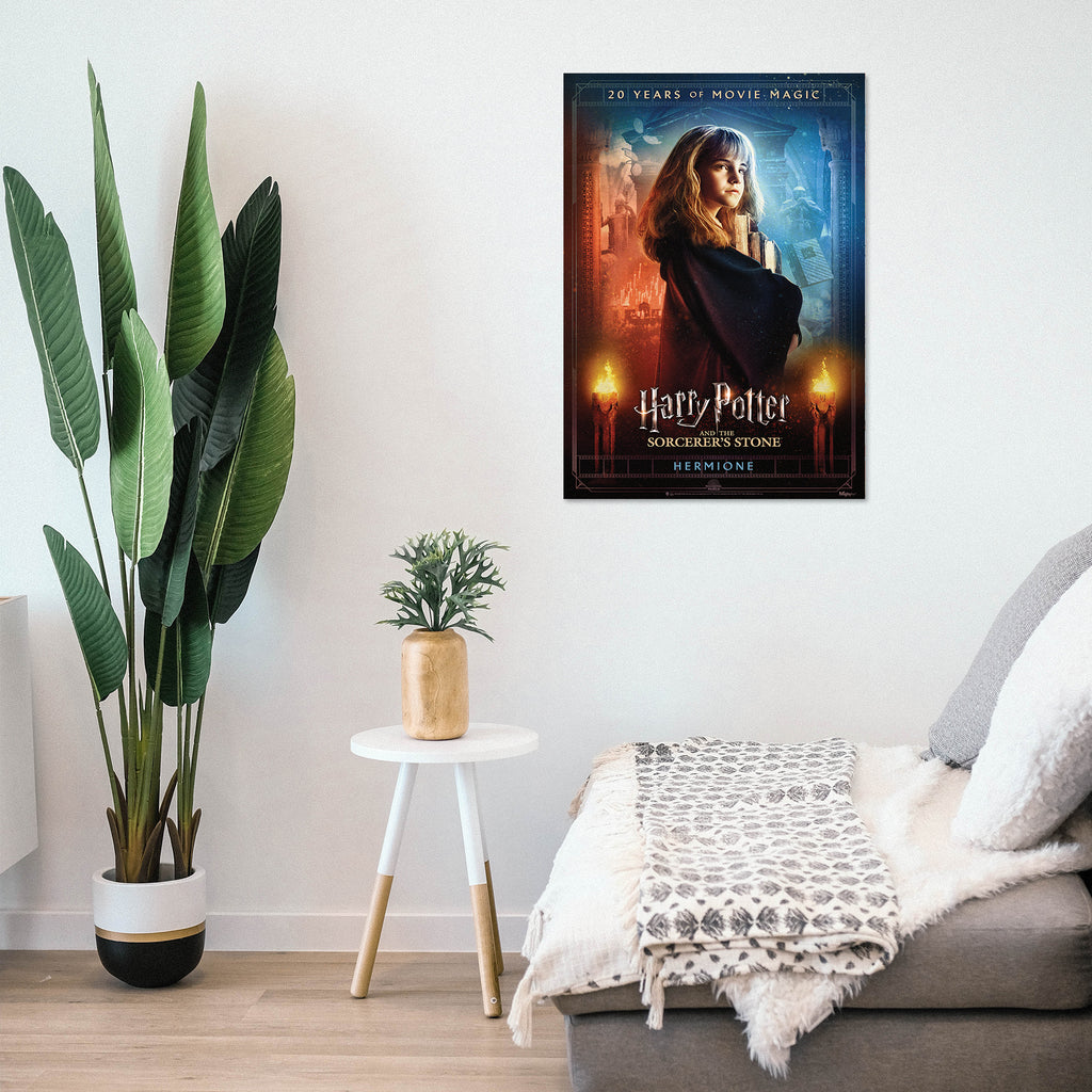 Harry Potter and the Sorcerers Stone (20th Anniversary - Hermione) MightyPrint™ Wall Art MP17240700