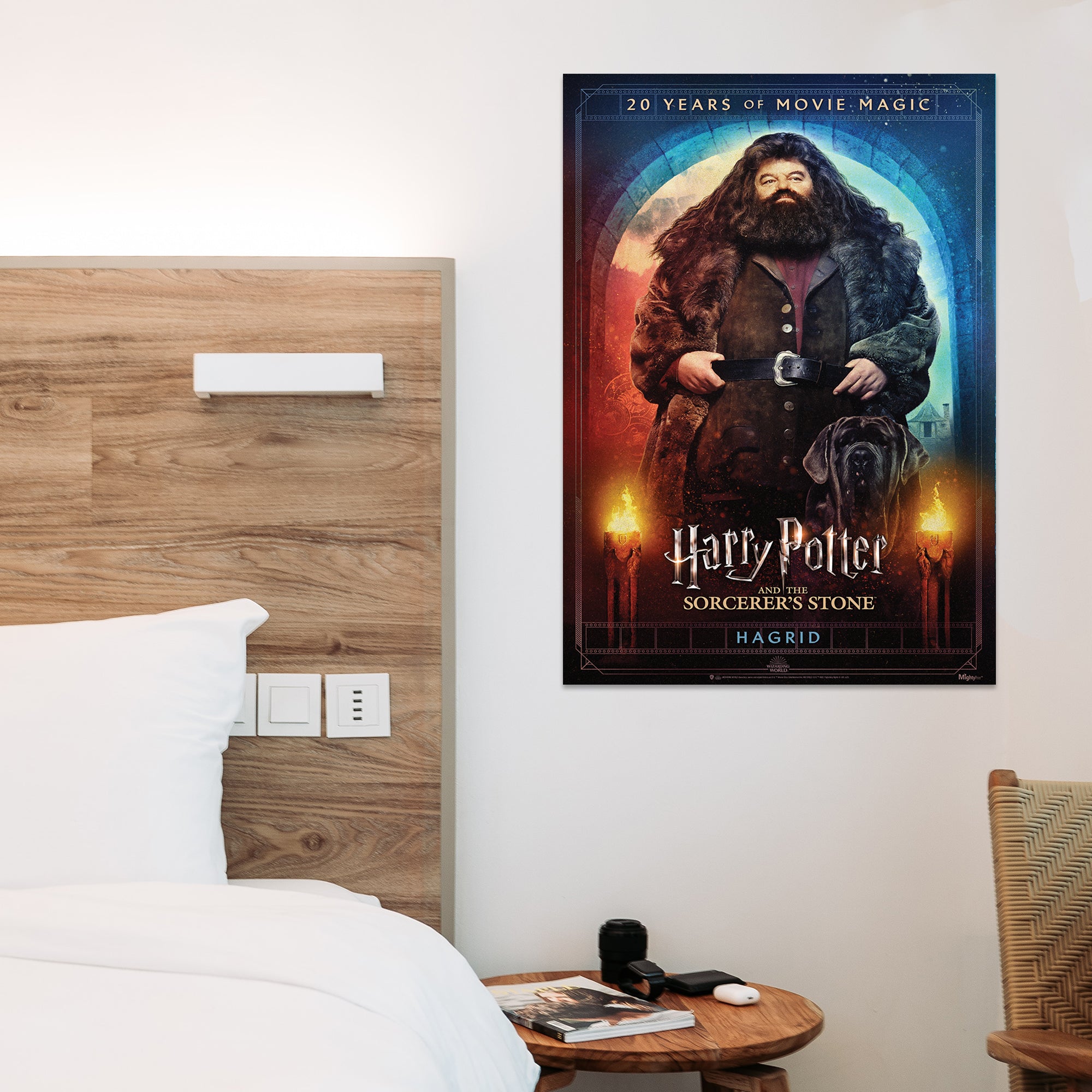 Harry Potter and the Sorcerers Stone (20th Anniversary - Hagrid) MightyPrint™ Wall Art MP17240703
