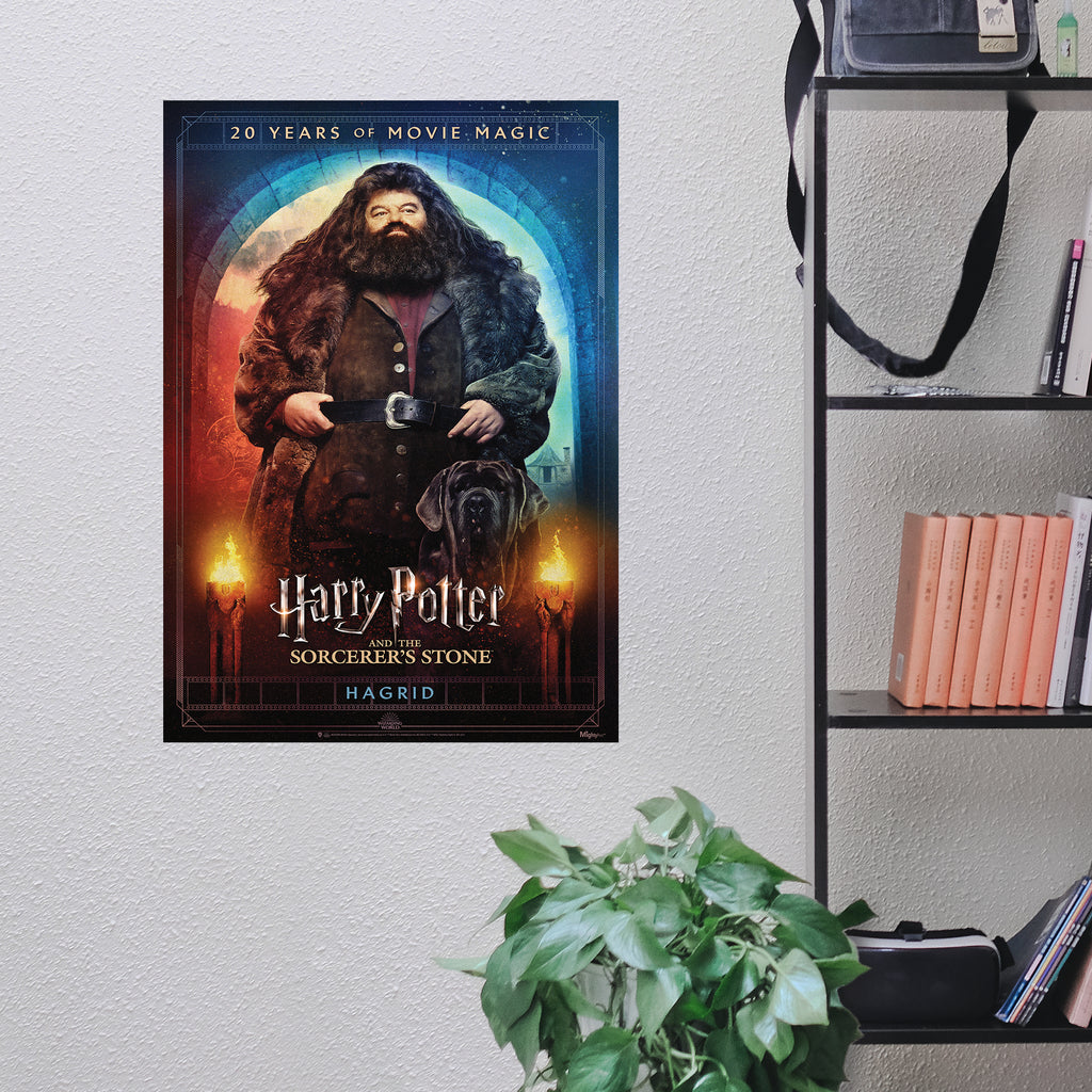 Harry Potter and the Sorcerers Stone (20th Anniversary - Hagrid) MightyPrint™ Wall Art MP17240703