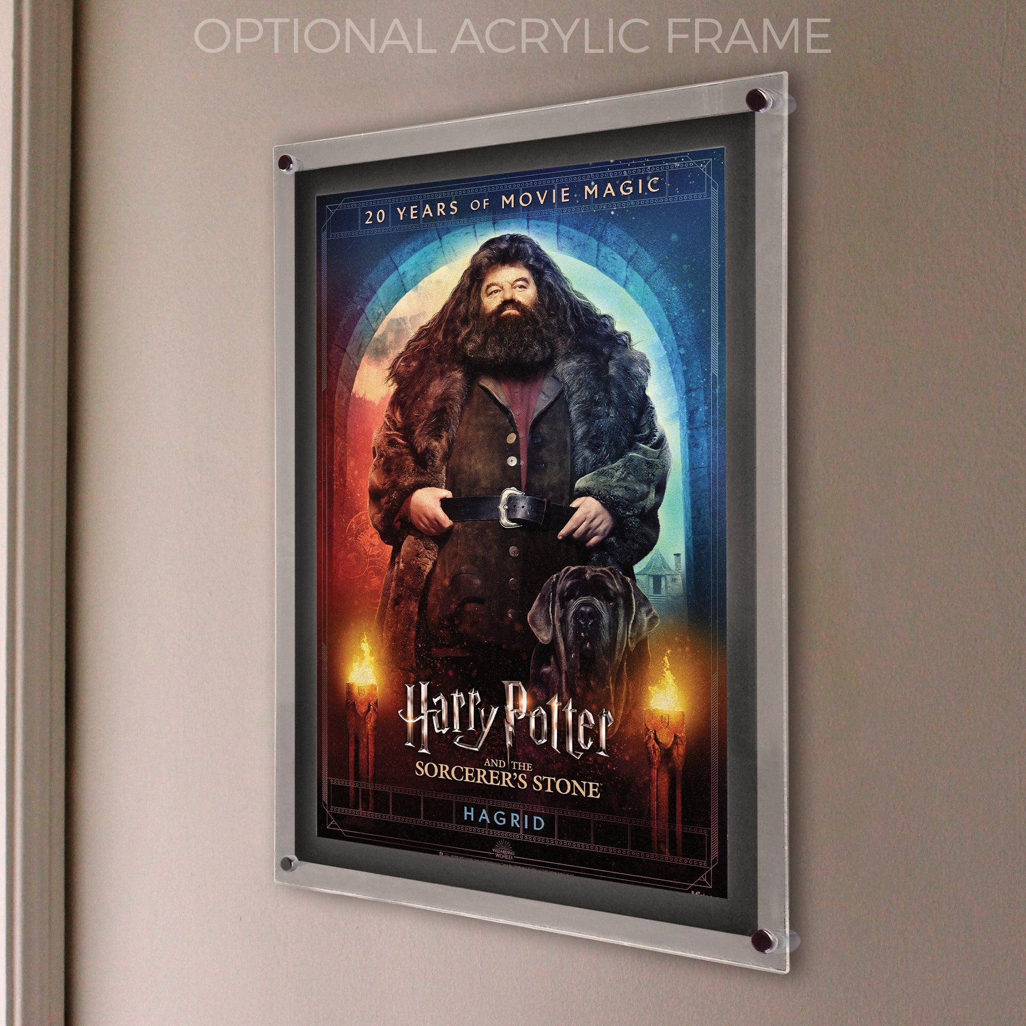 Harry Potter and the Sorcerers Stone (20th Anniversary - Hagrid) MightyPrint™ Wall Art MP17240703