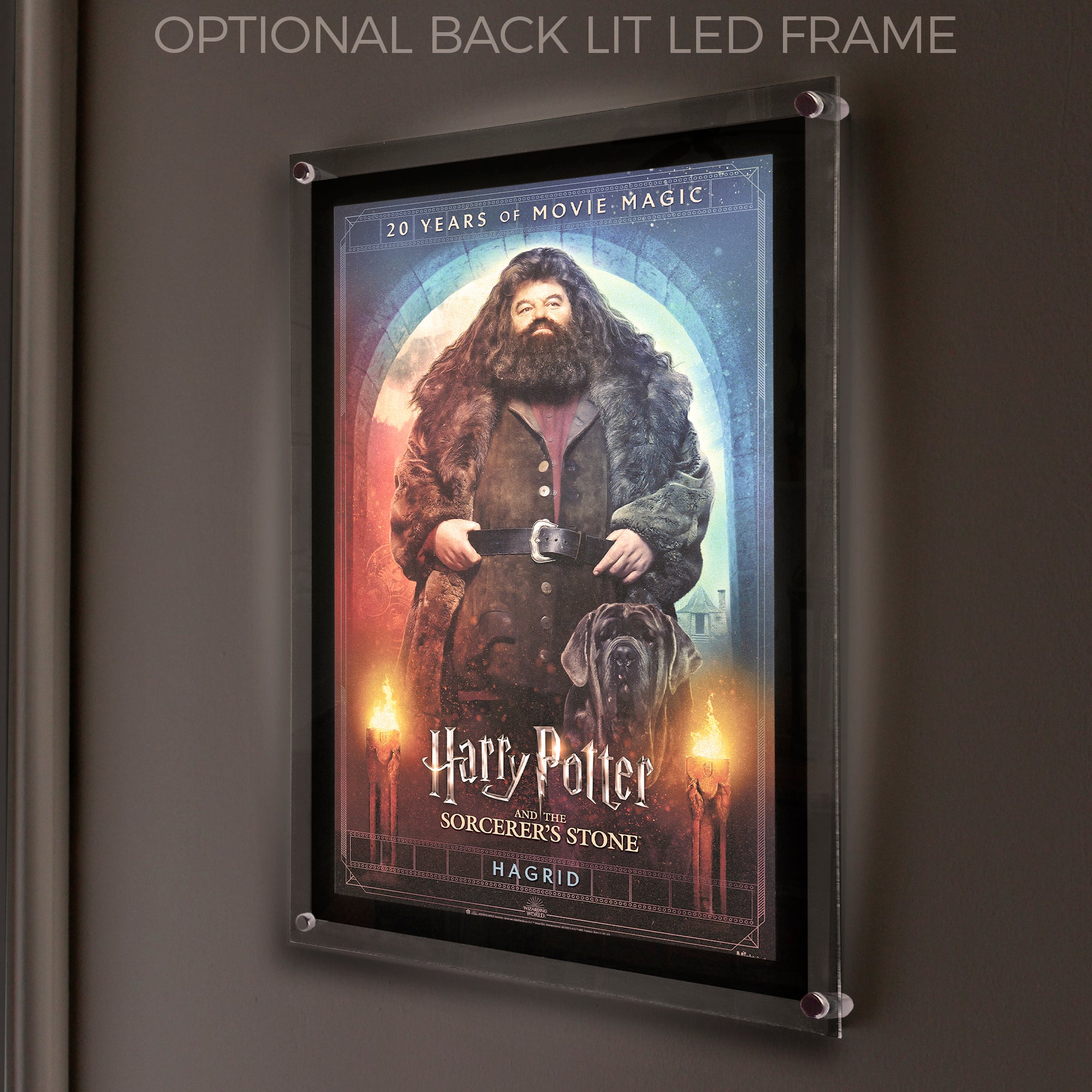 Harry Potter and the Sorcerers Stone (20th Anniversary - Hagrid) MightyPrint™ Wall Art MP17240703