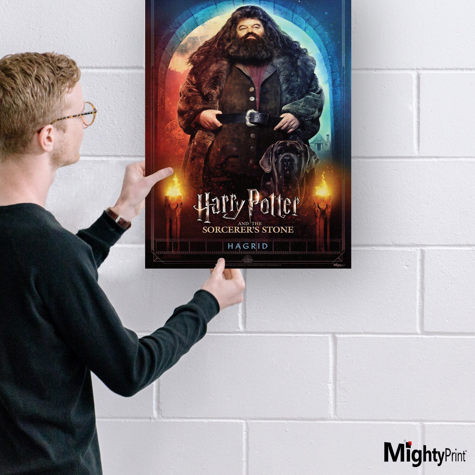 Harry Potter and the Sorcerers Stone (20th Anniversary - Hagrid) MightyPrint™ Wall Art MP17240703