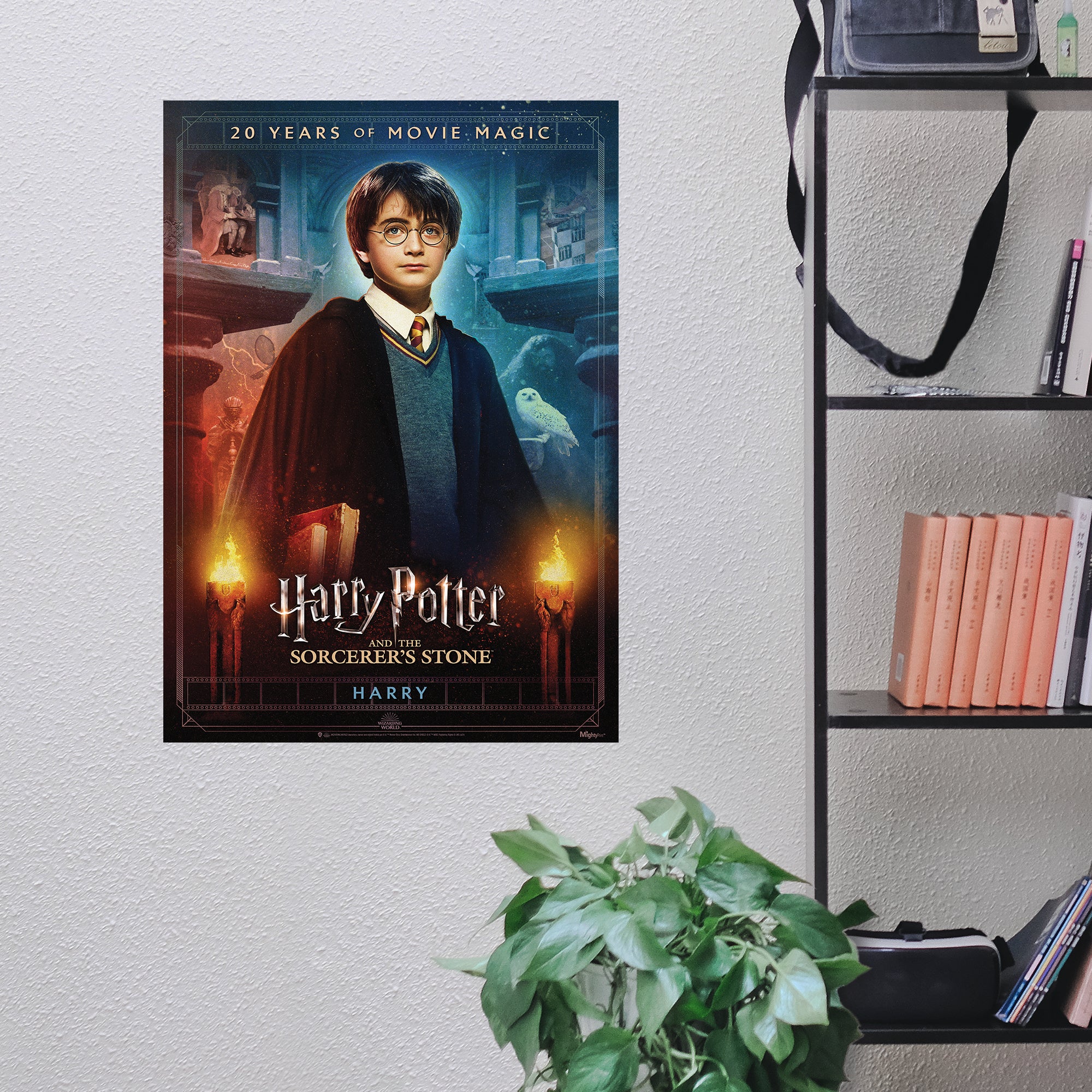 Harry Potter and the Sorcerers Stone (20th Anniversary - Harry) MightyPrint™ Wall Art MP17240705