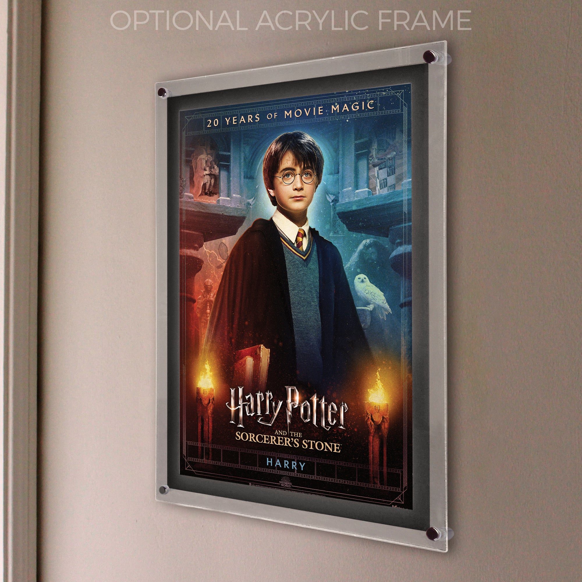 Harry Potter and the Sorcerers Stone (20th Anniversary - Harry) MightyPrint™ Wall Art MP17240705