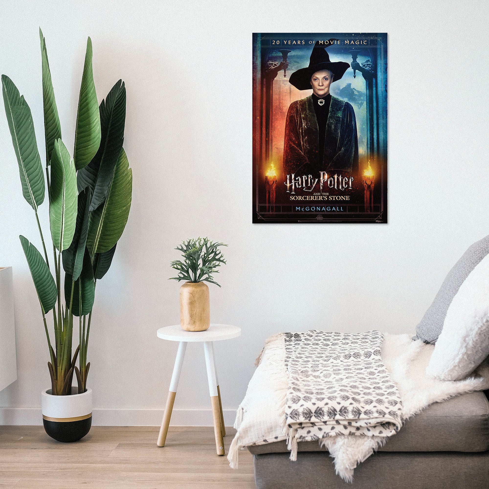 Harry Potter and the Sorcerers Stone (20th Anniversary - McGonagall) MightyPrint™ Wall Art MP17240706