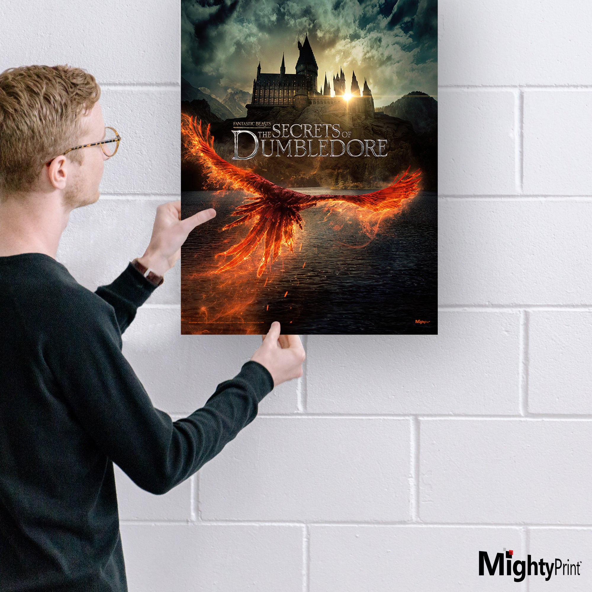 Fantastic Beasts: The Secrets of Dumbledore (Movie Poster) MightPrint Wall Art MP17240739