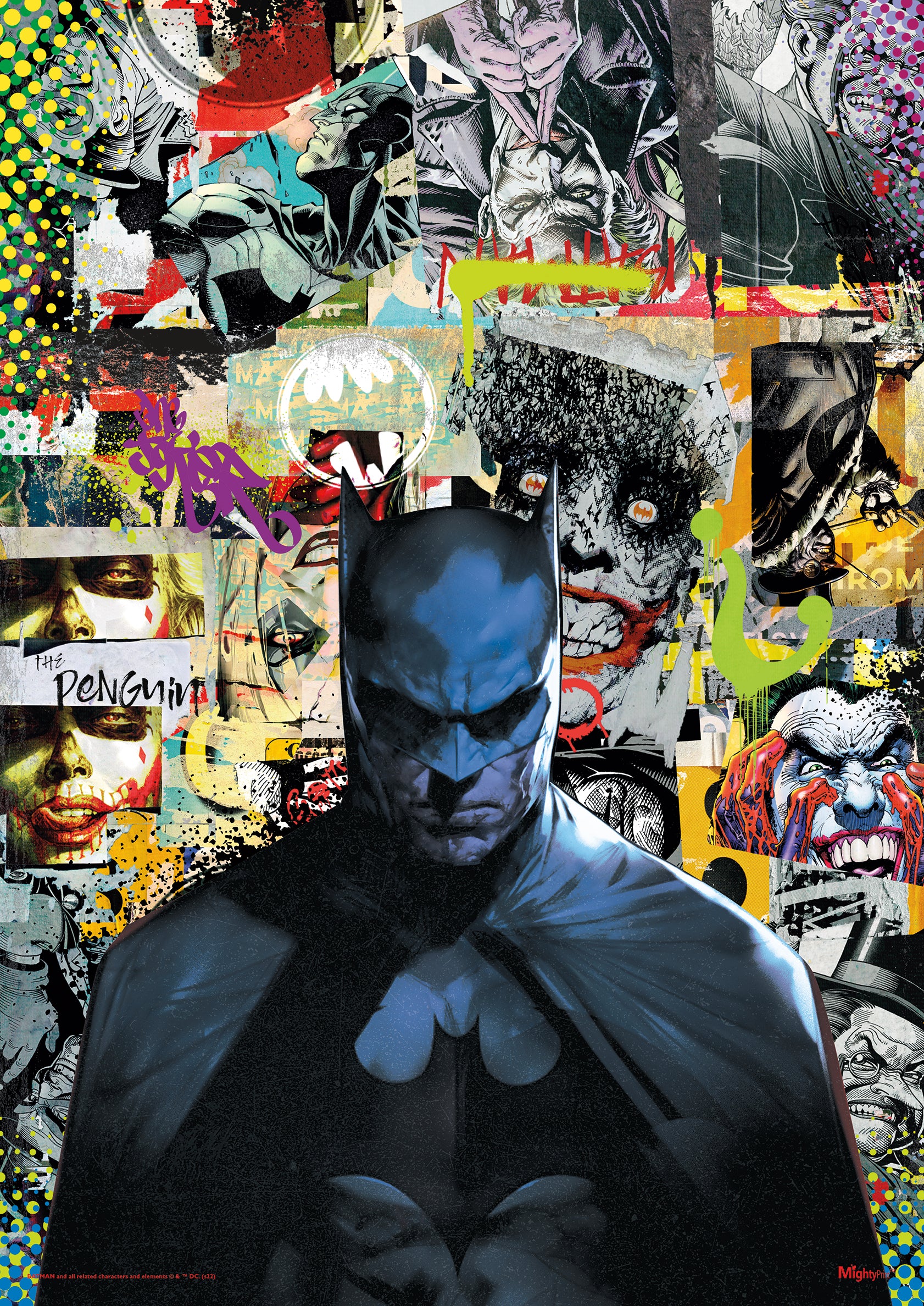 DC Comics (Batman - Collage of Enemies) MightyPrint™ Wall Art MP17240766