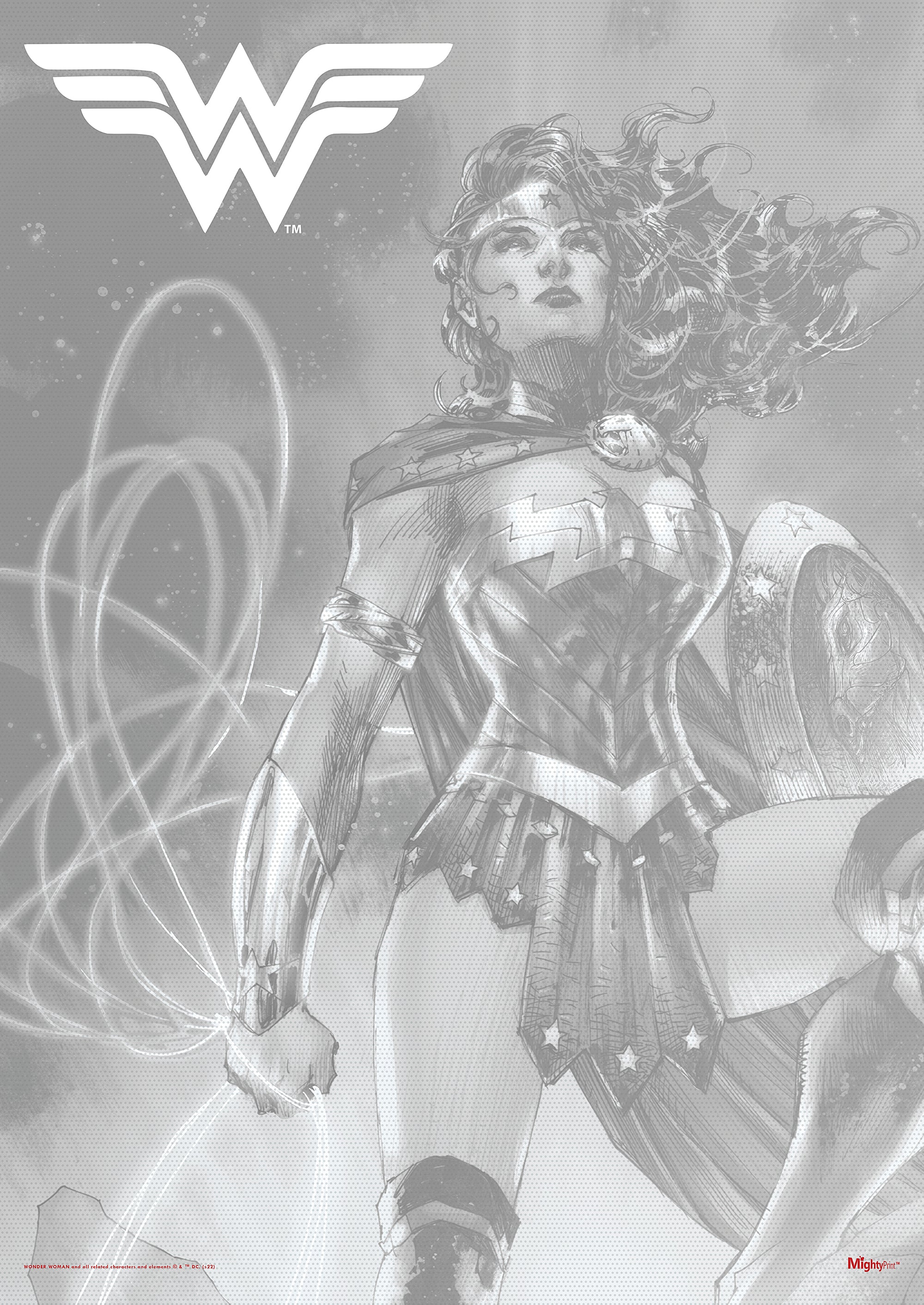 DC Comics (Wonder Woman - Legendary Part 1) MightyPrint™ Wall Art MP17240798
