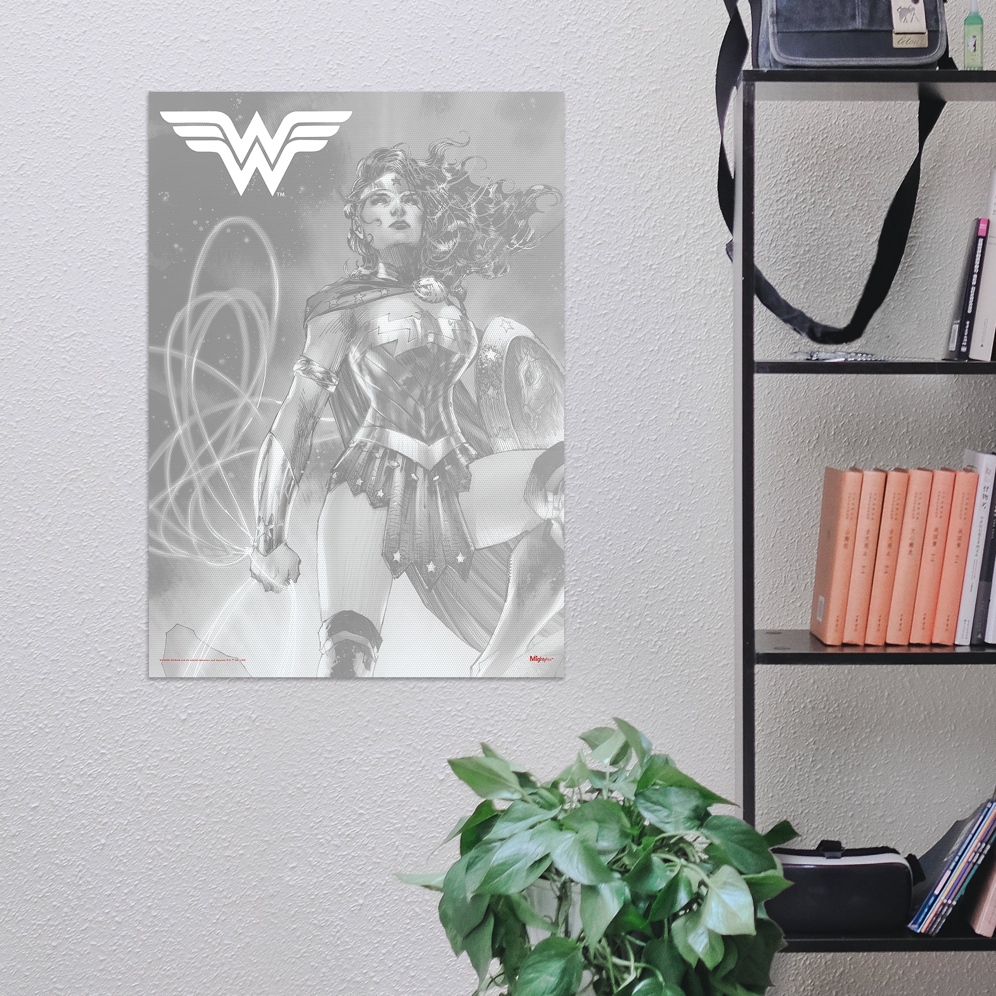 DC Comics (Wonder Woman - Legendary Part 1) MightyPrint™ Wall Art MP17240798