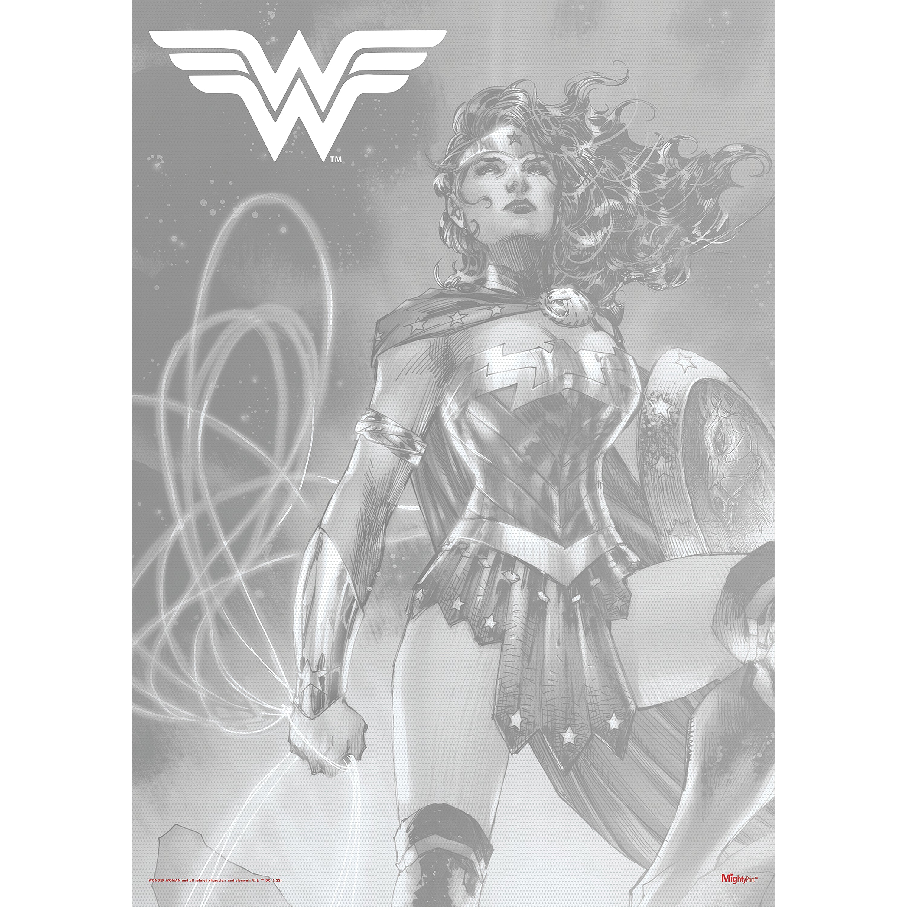 DC Comics (Wonder Woman - Legendary Part 1) MightyPrint™ Wall Art MP17240798