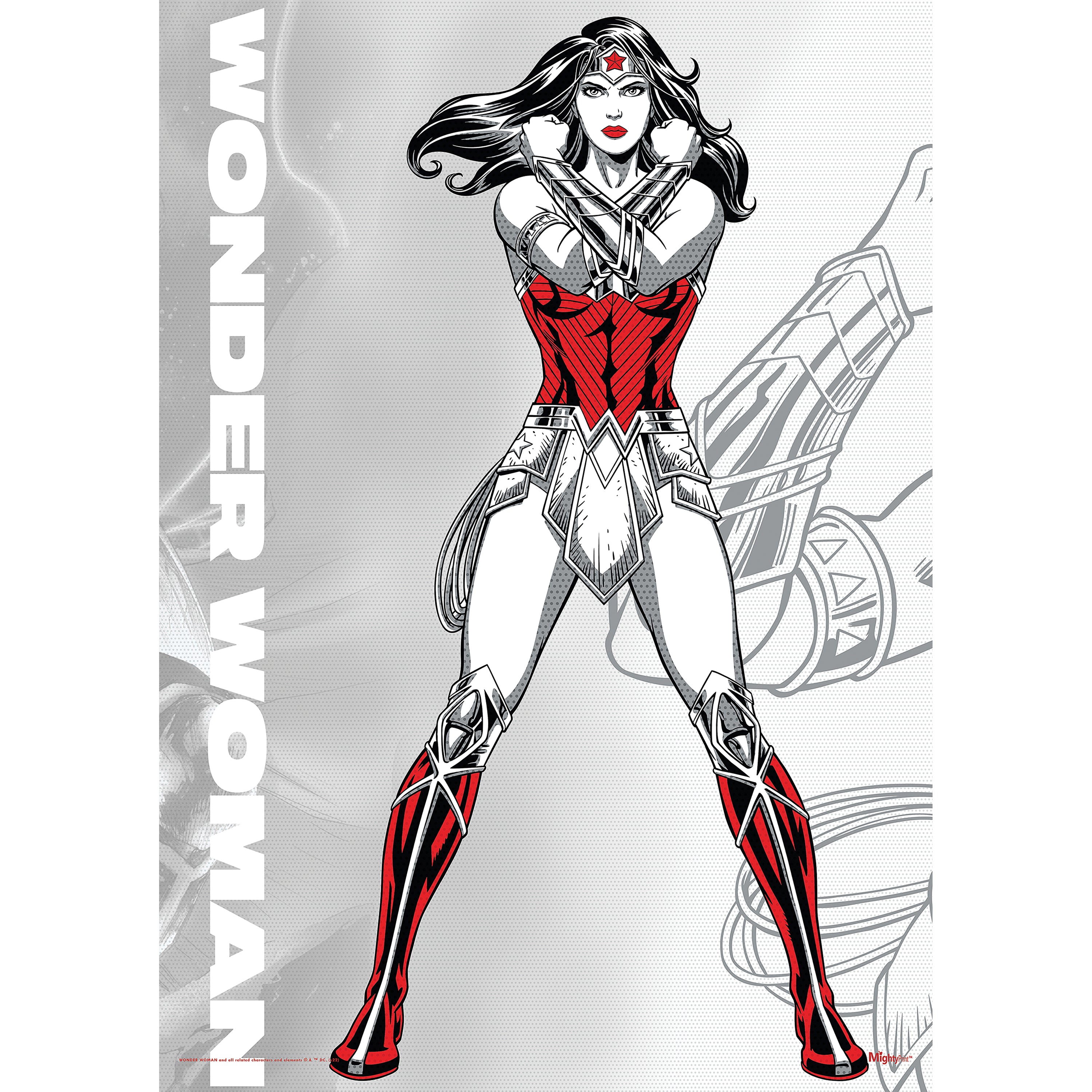 DC Comics (Wonder Woman - Legendary Part 2) MightyPrint™ Wall Art MP17240799