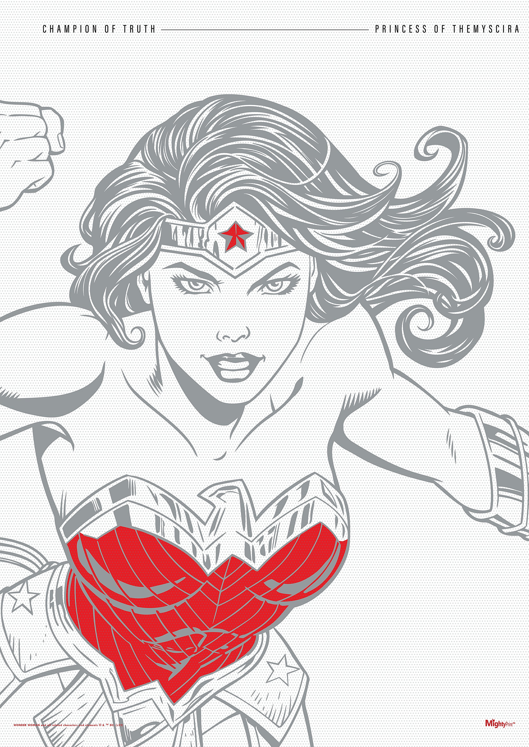 DC Comics (Wonder Woman - Legendary Part 3) MightyPrint™ Wall Art MP17240800