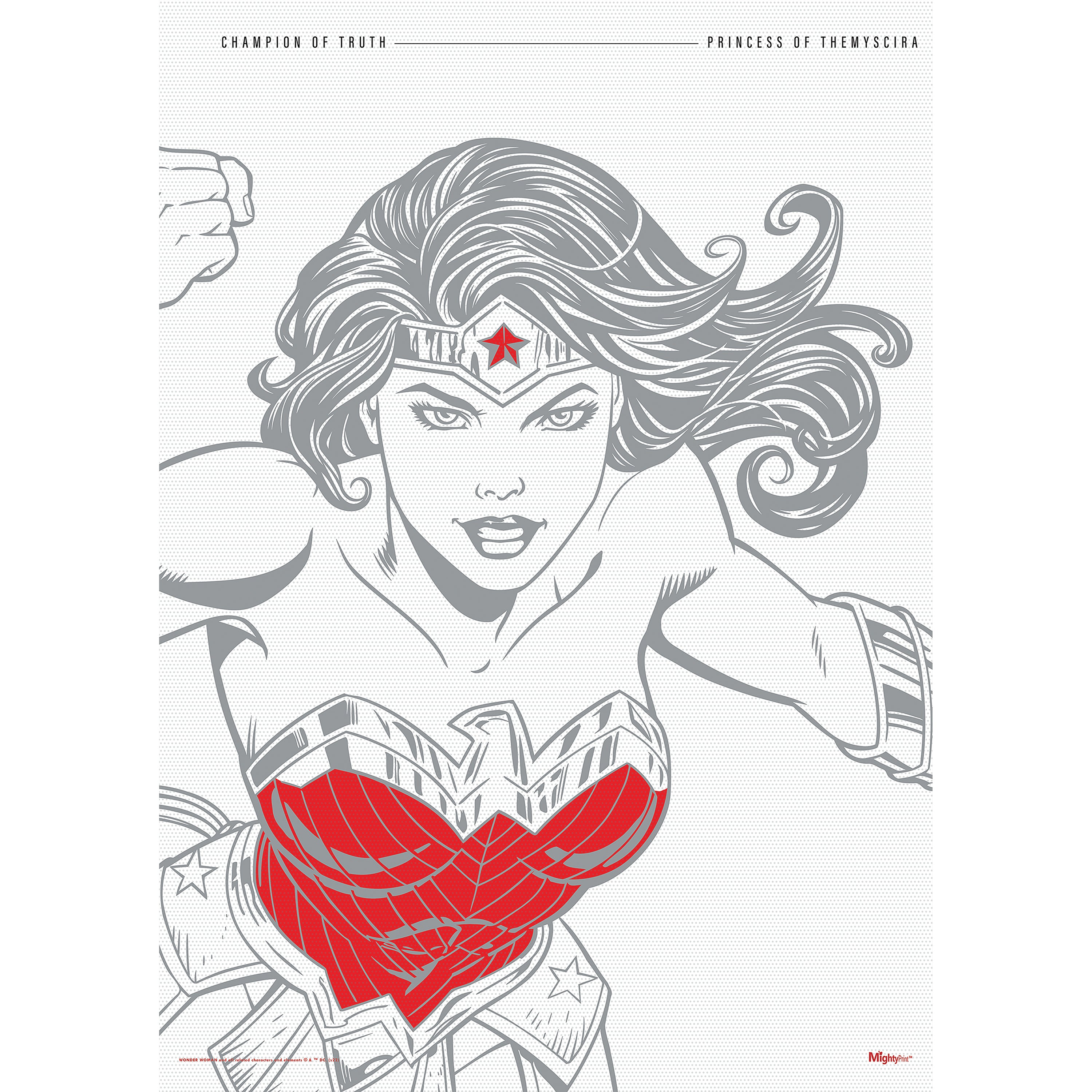 DC Comics (Wonder Woman - Legendary Part 3) MightyPrint™ Wall Art MP17240800