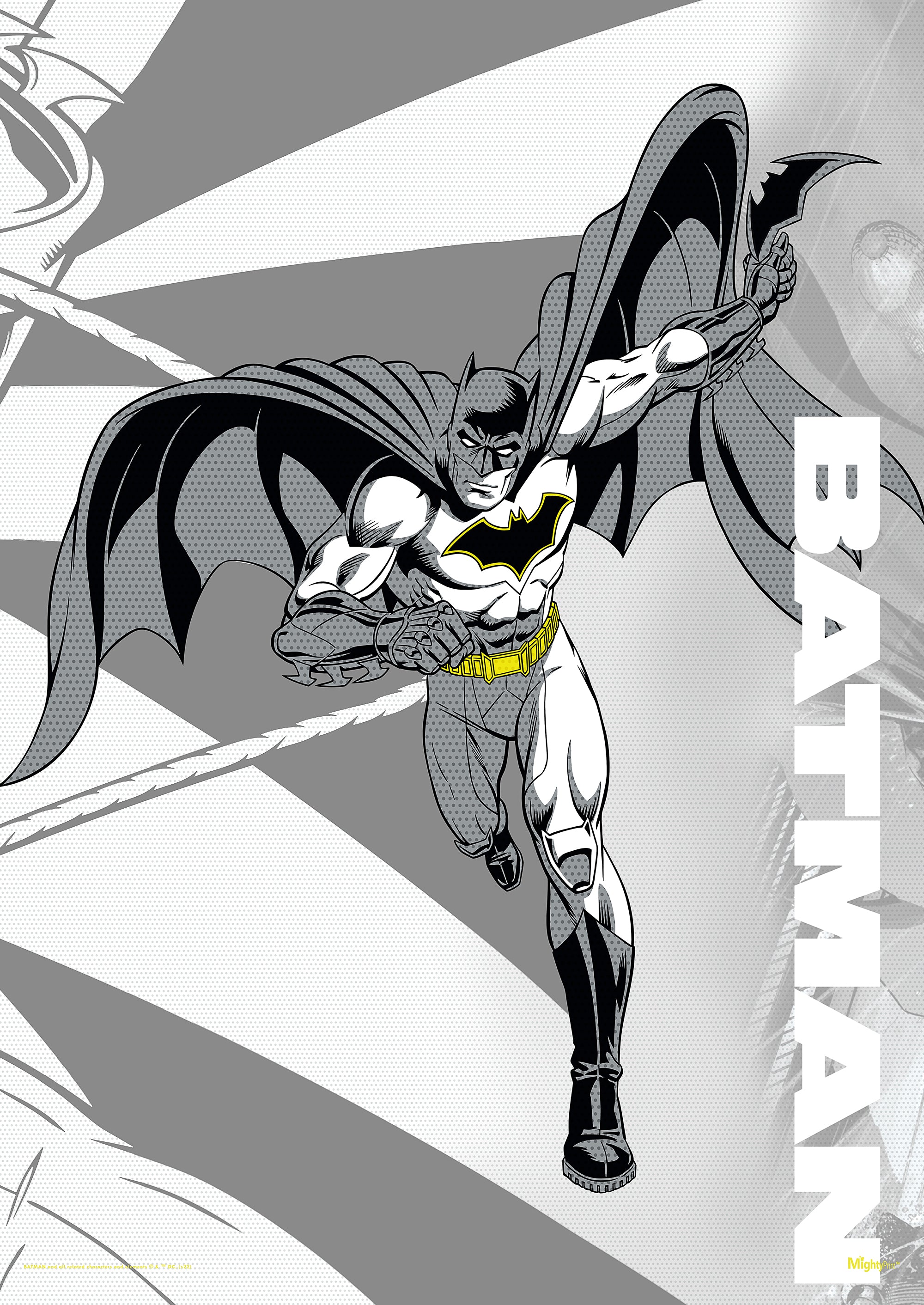 DC Comics (Batman - Legendary Part 2) MightyPrint™ Wall Art MP17240802