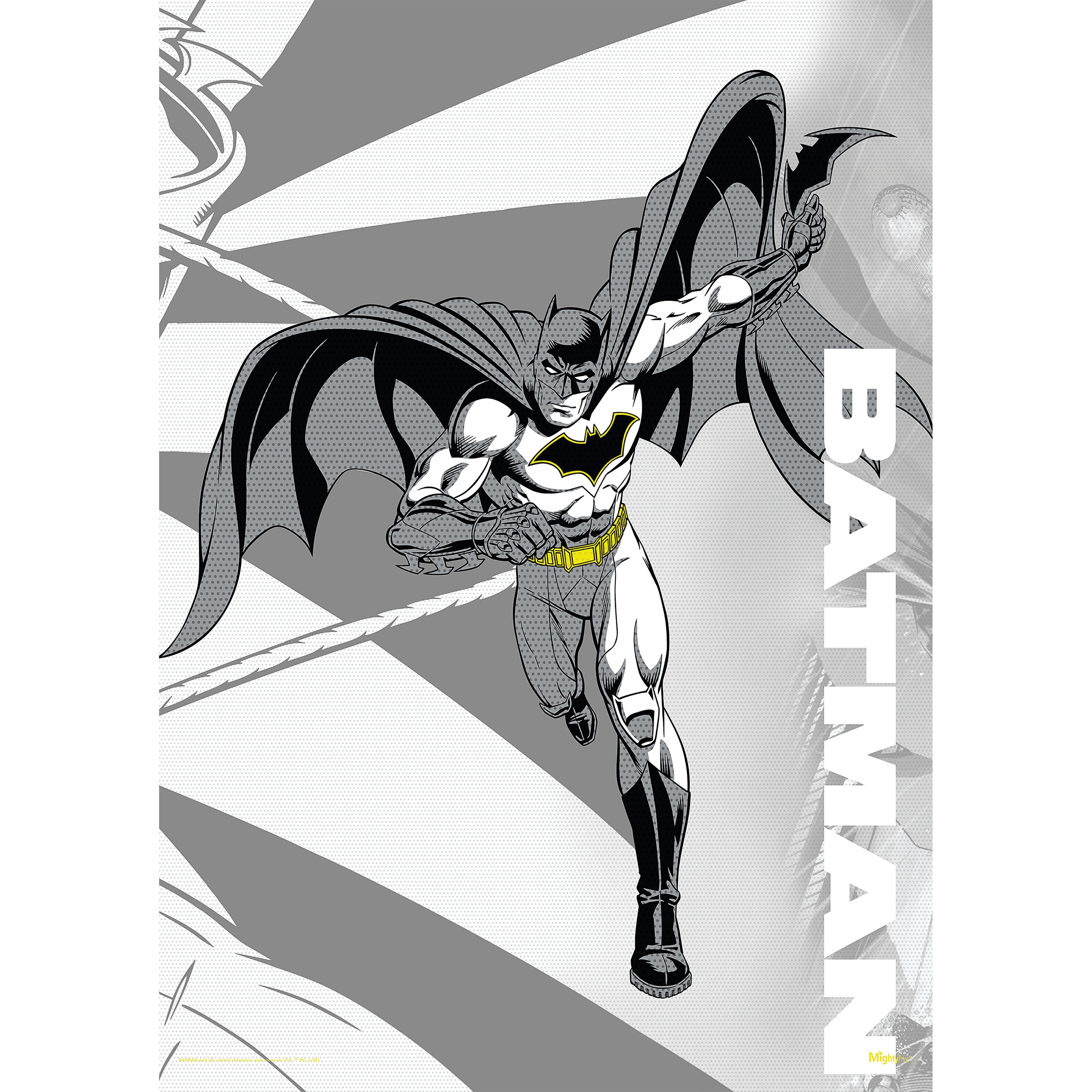DC Comics (Batman - Legendary Part 2) MightyPrint™ Wall Art MP17240802