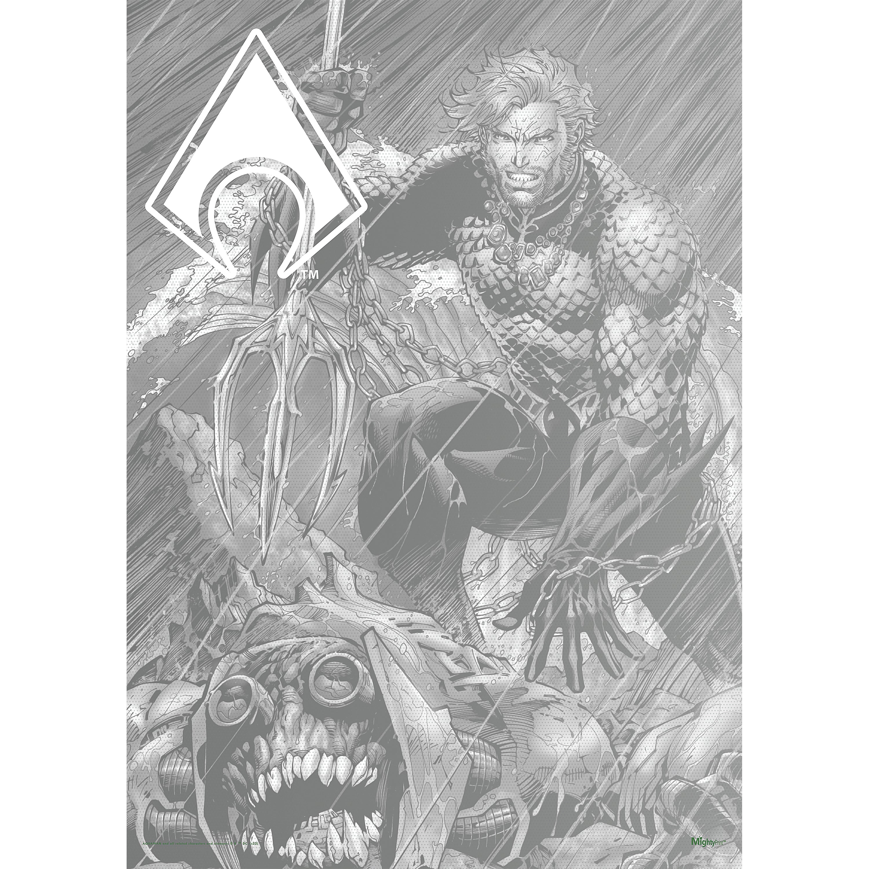 DC Comics (Aquaman - Legendary  Part 1) MightyPrint™ Wall Art MP17240804