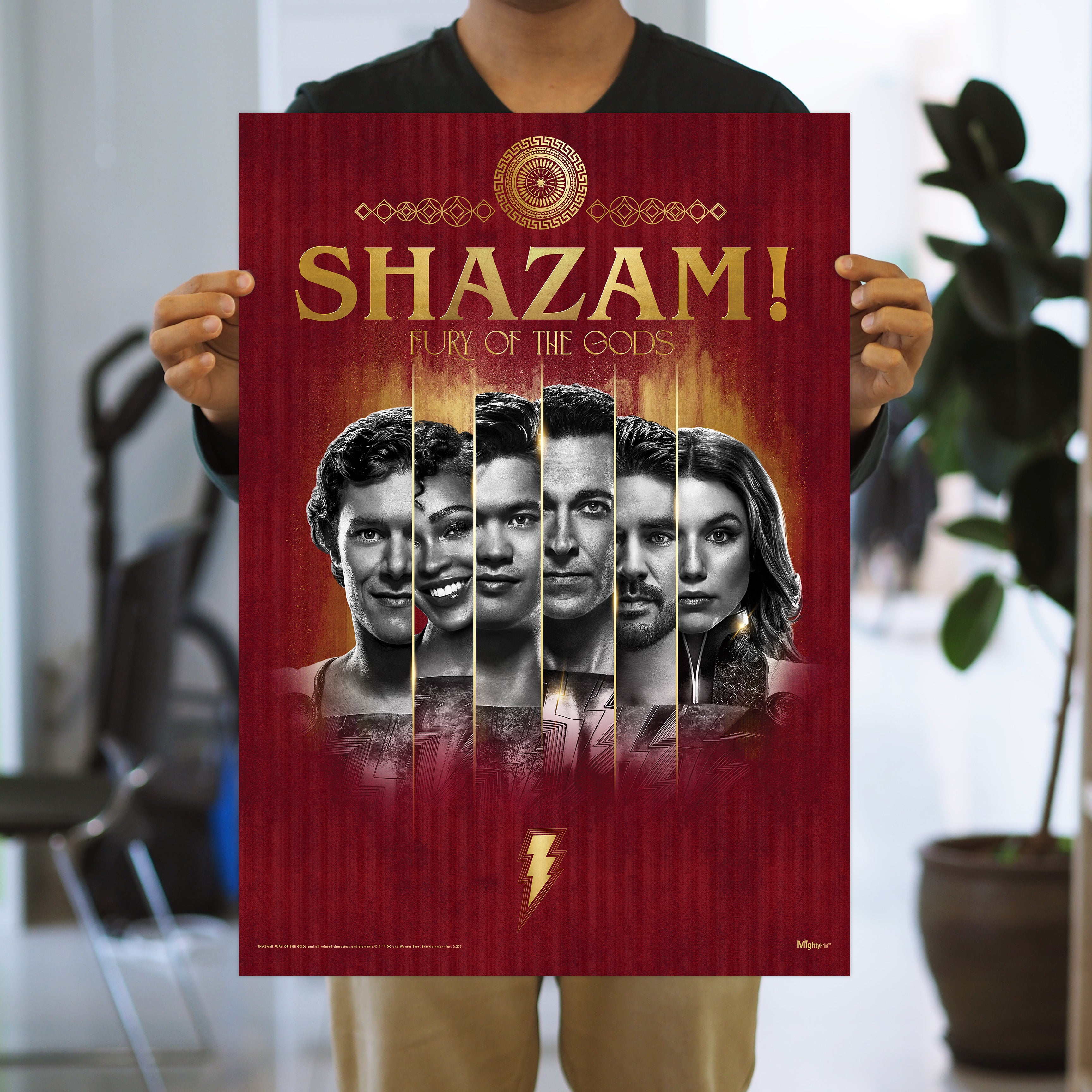 Shazam! Fury Of The Gods (Shazam Family Group) MightyPrint™ Wall Art MP17240839