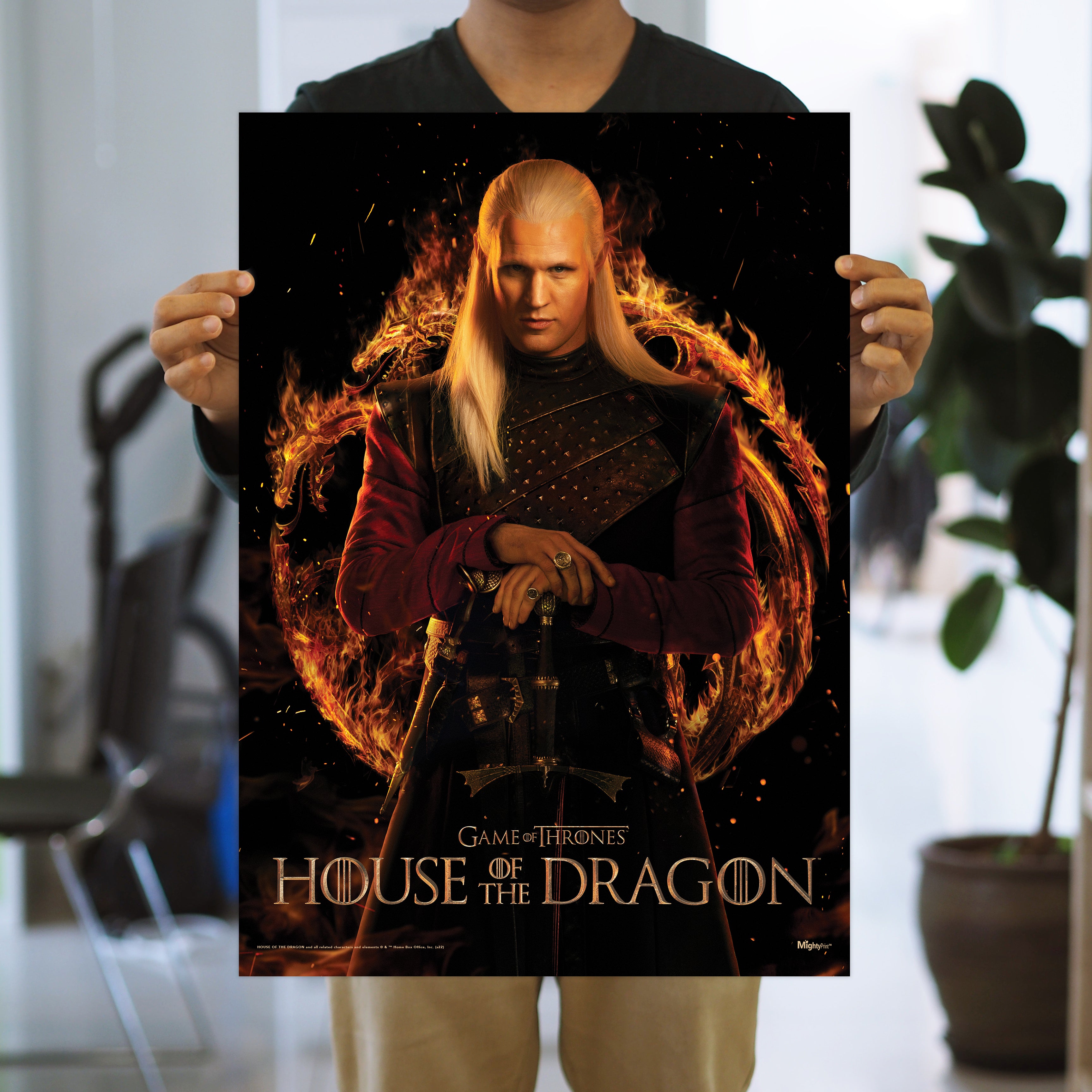 House of the Dragon (Daemon) MightyPrint™ Wall Art MP17240844