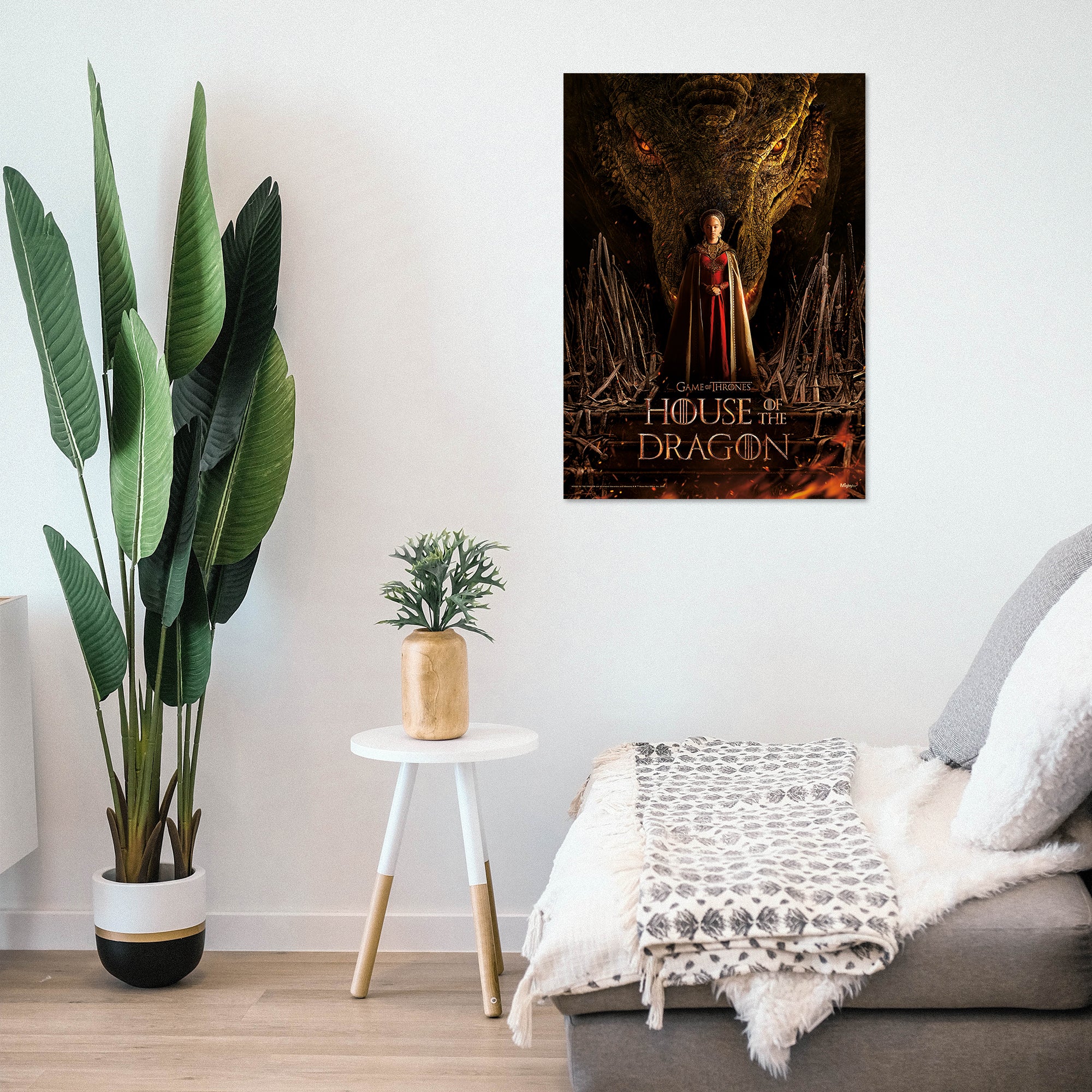 House of the Dragon (Young Rhaenyra) MightyPrint™ Wall Art MP17240845