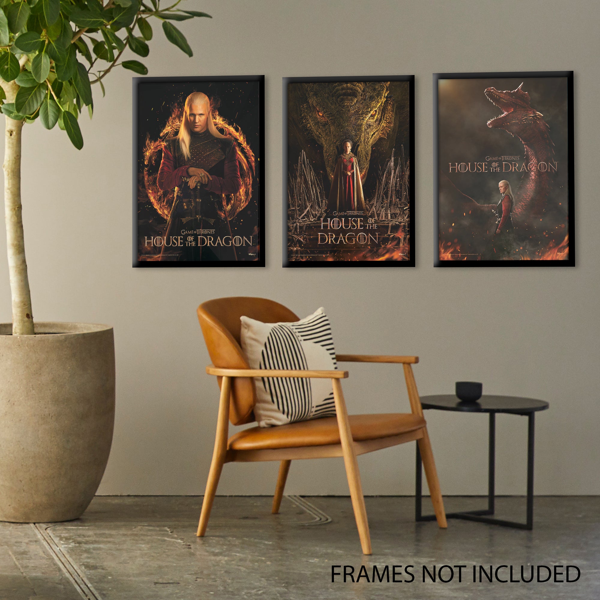 House of the Dragon (Young Rhaenyra) MightyPrint™ Wall Art MP17240845