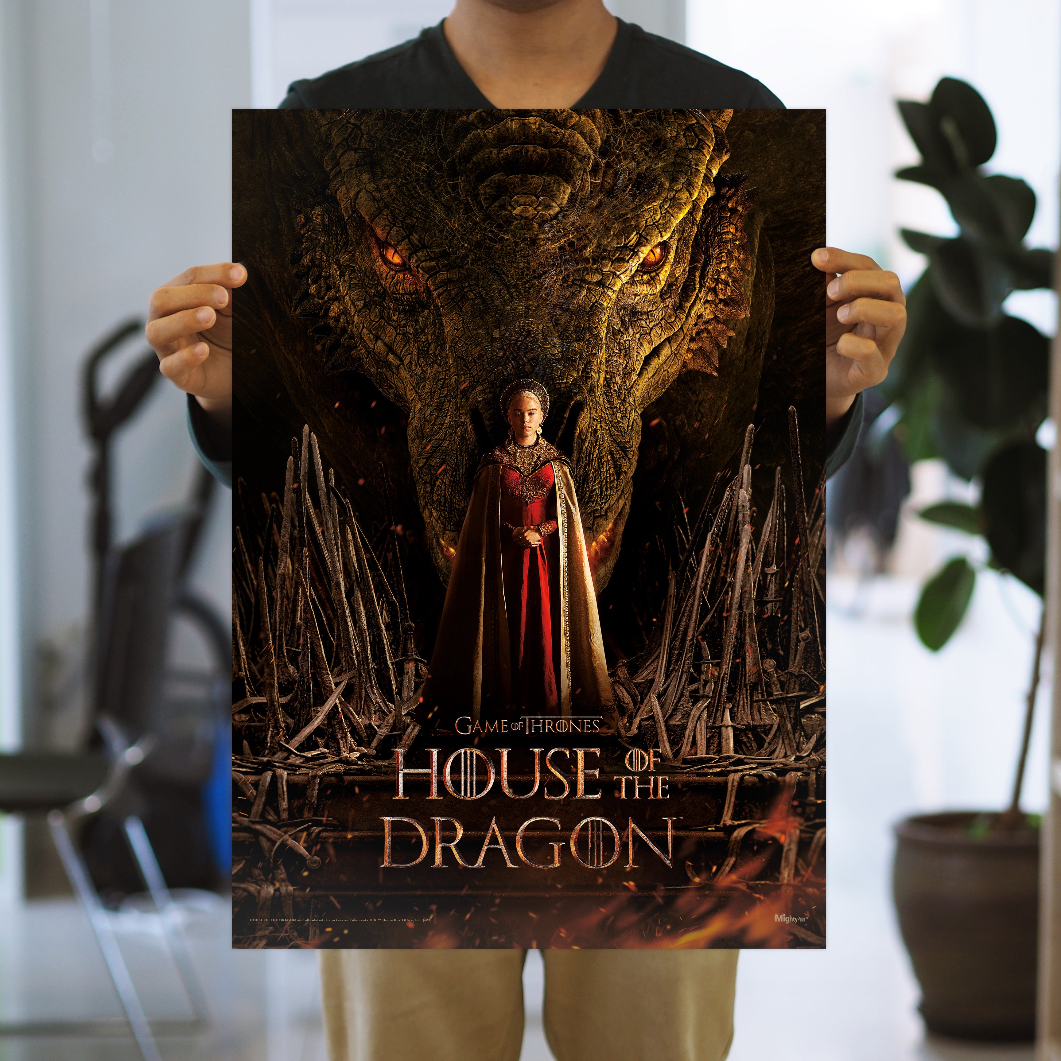 House of the Dragon (Young Rhaenyra) MightyPrint™ Wall Art MP17240845