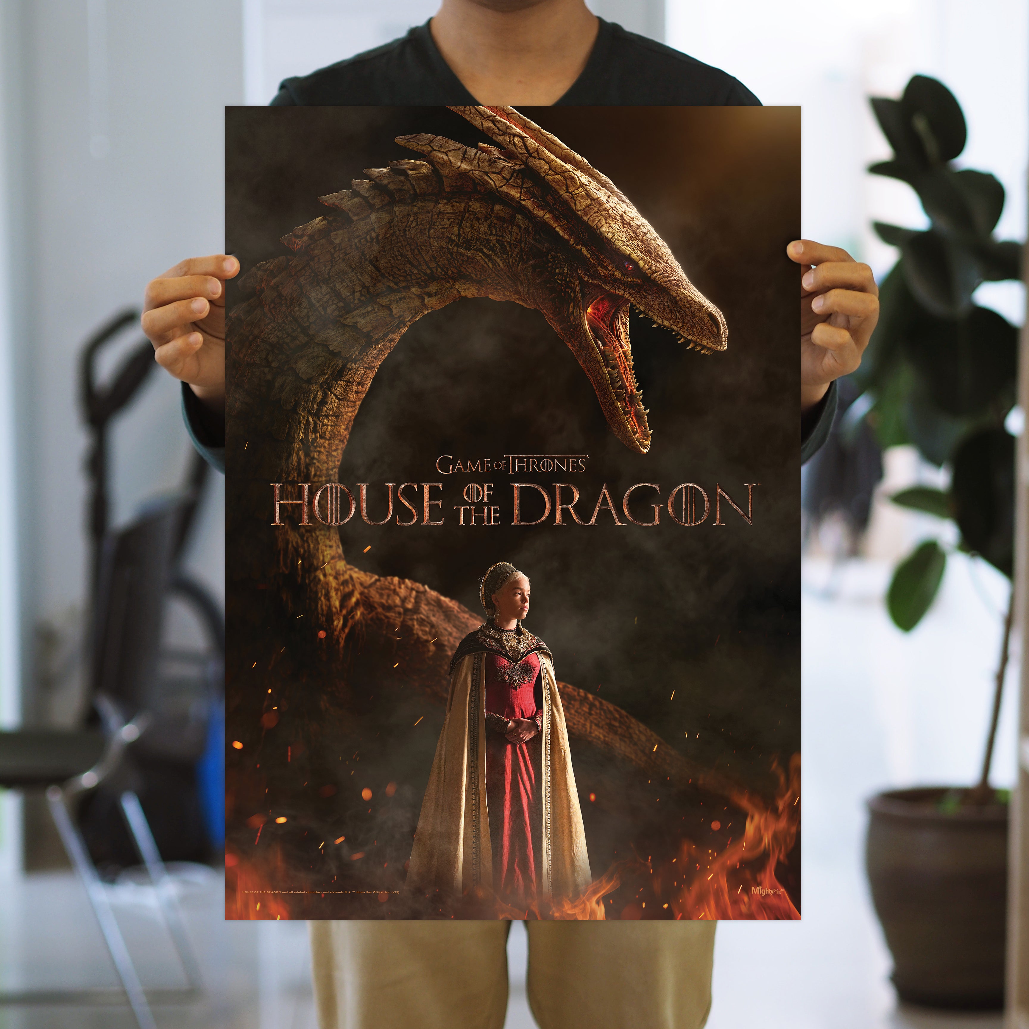 House of the Dragon (Rhaenyra and Syrax) MightyPrint™ Wall Art MP17240846