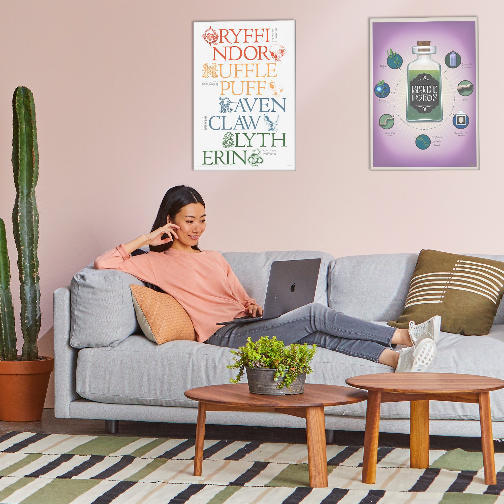 Harry Potter (Delicate Sketch Hogwarts Houses) MightyPrint™ Wall Art MP17240886