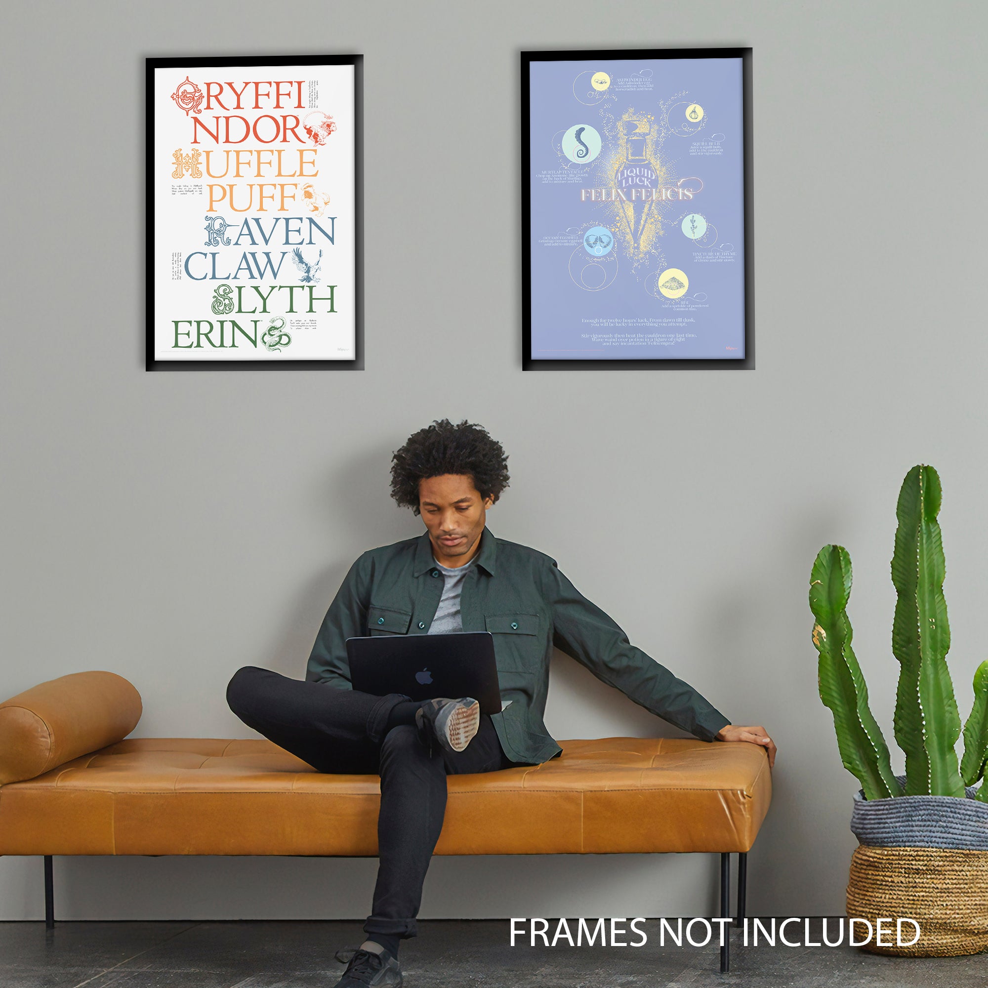 Harry Potter (Delicate Sketch Hogwarts Houses) MightyPrint™ Wall Art MP17240886