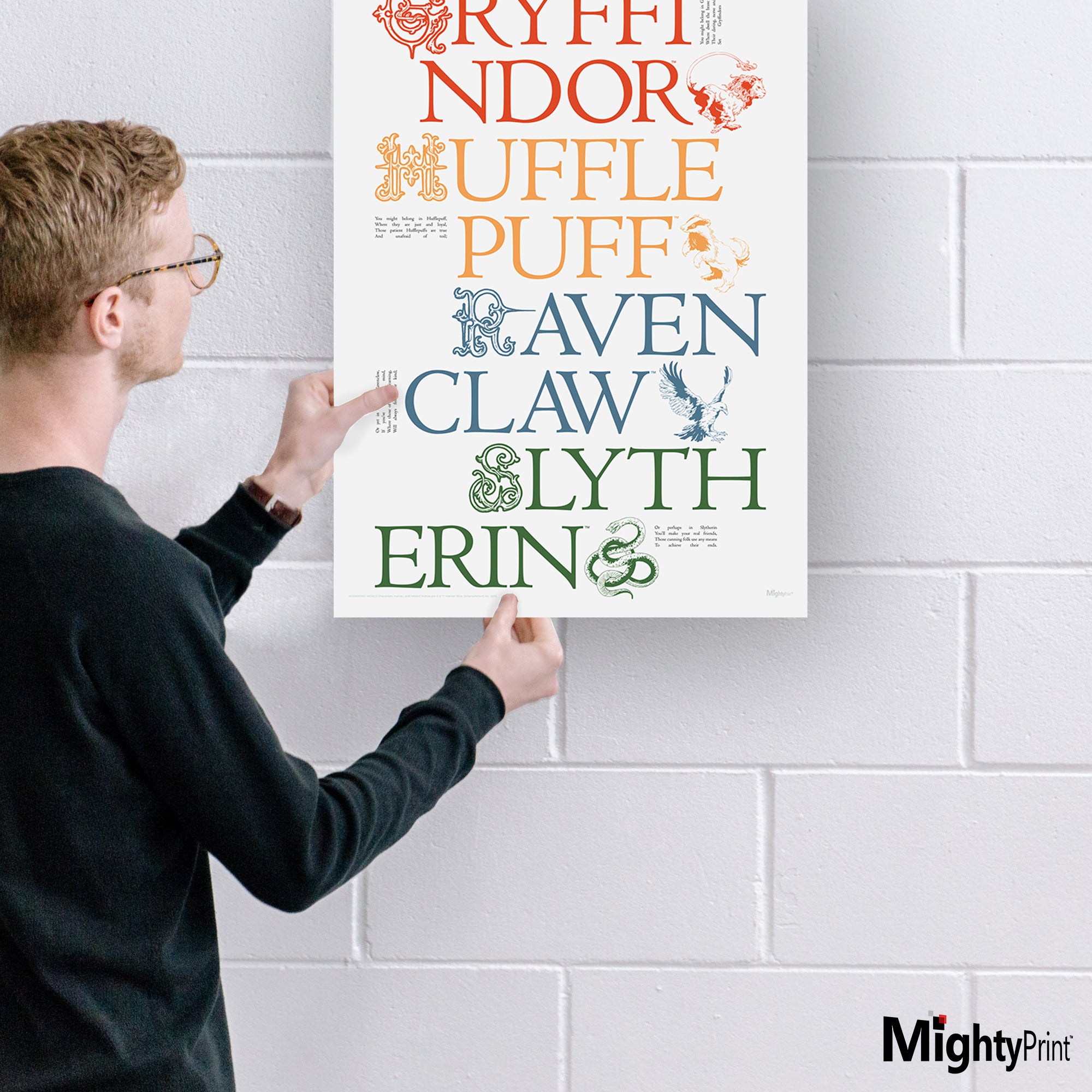 Harry Potter (Delicate Sketch Hogwarts Houses) MightyPrint™ Wall Art MP17240886