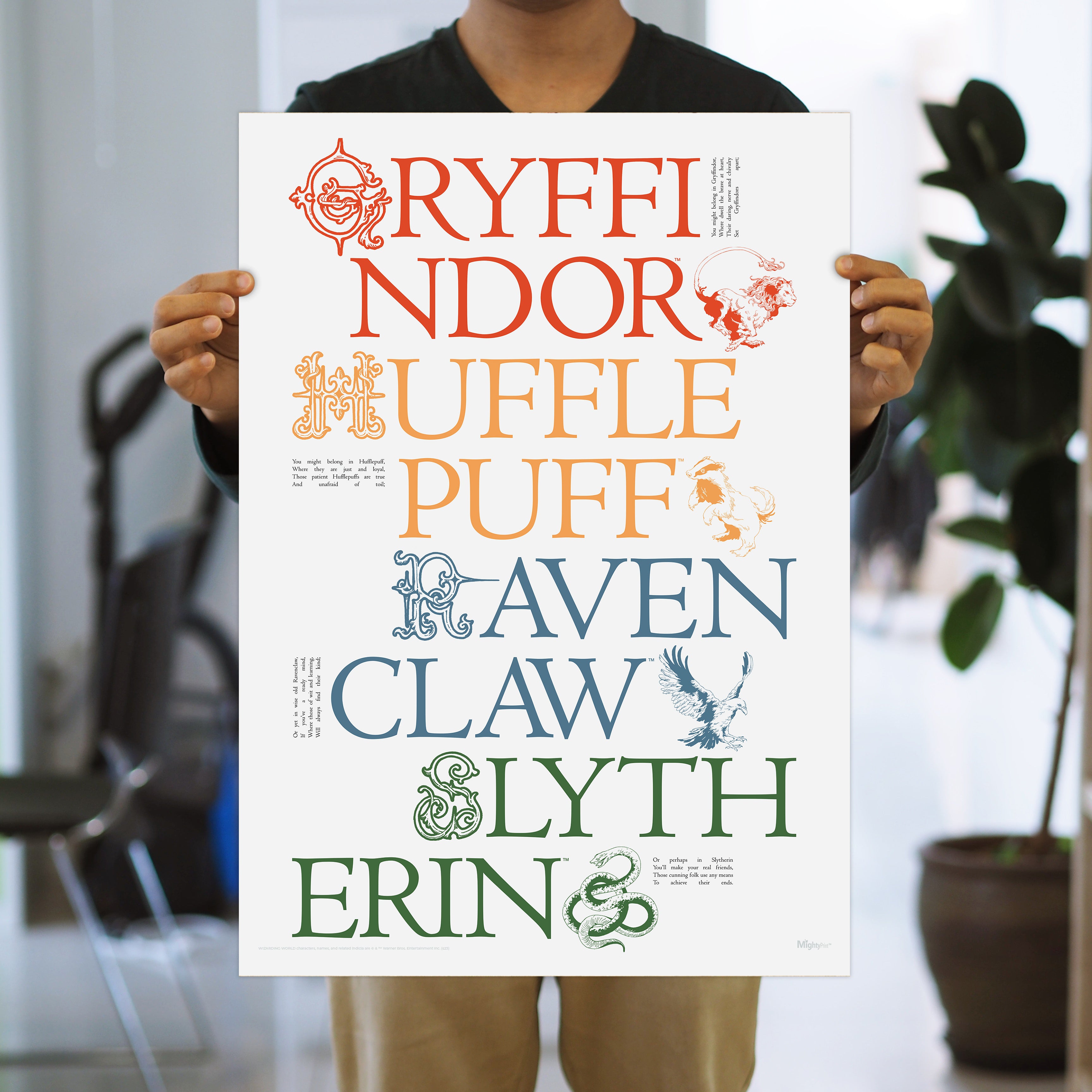 Harry Potter (Delicate Sketch Hogwarts Houses) MightyPrint™ Wall Art MP17240886