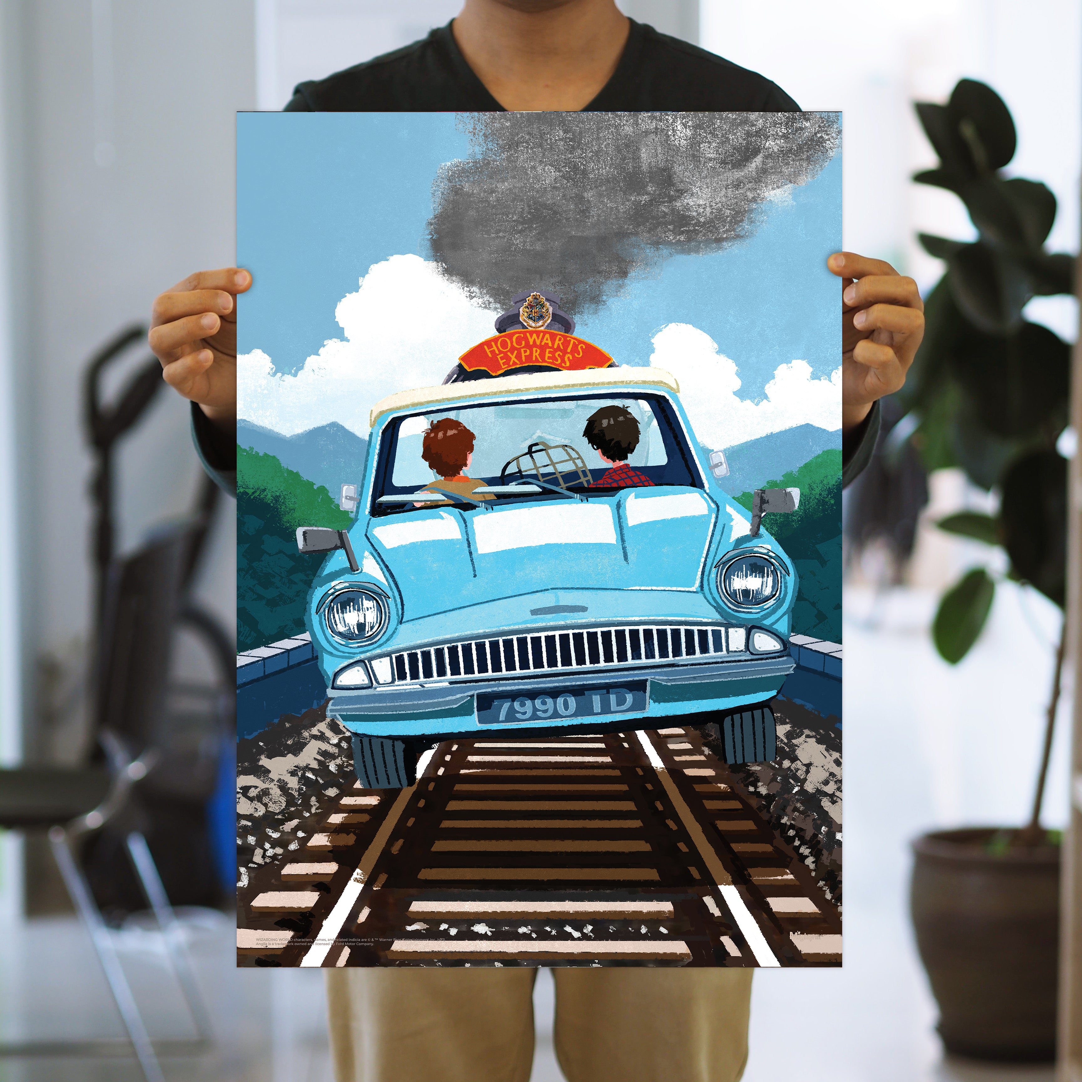 Harry Potter (Flying Ford Anglia) MightyPrint™ Wall Art MP17240889