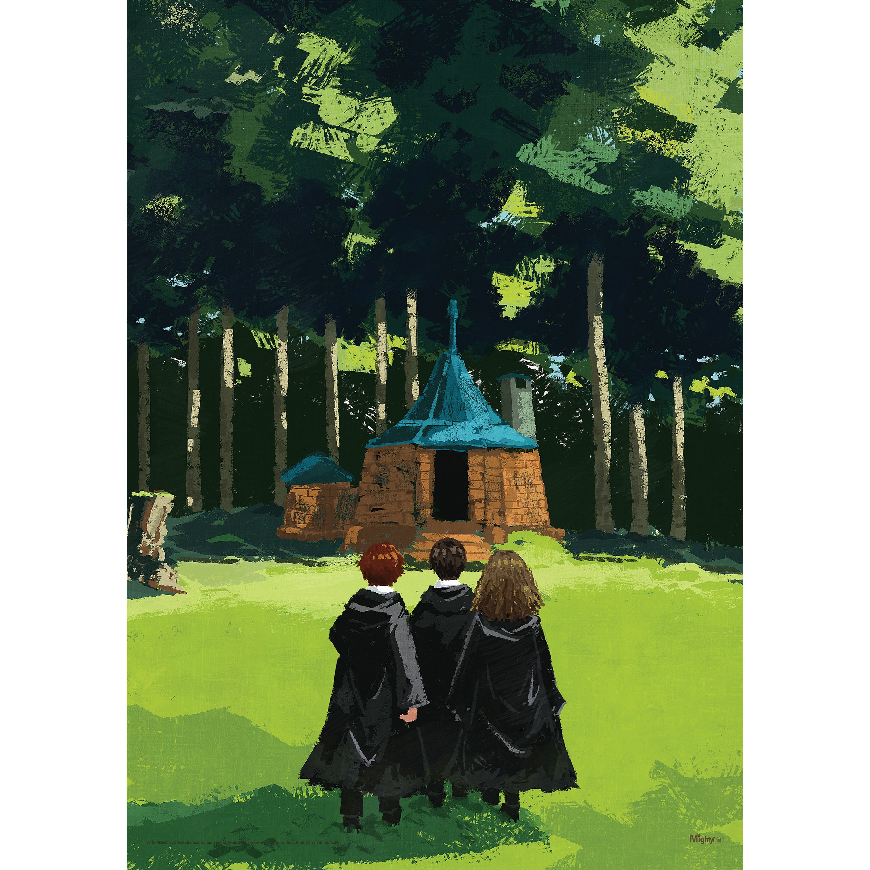 Harry Potter (Trio Visits Hagrids Hut) MightyPrint™ Wall Art MP17240891
