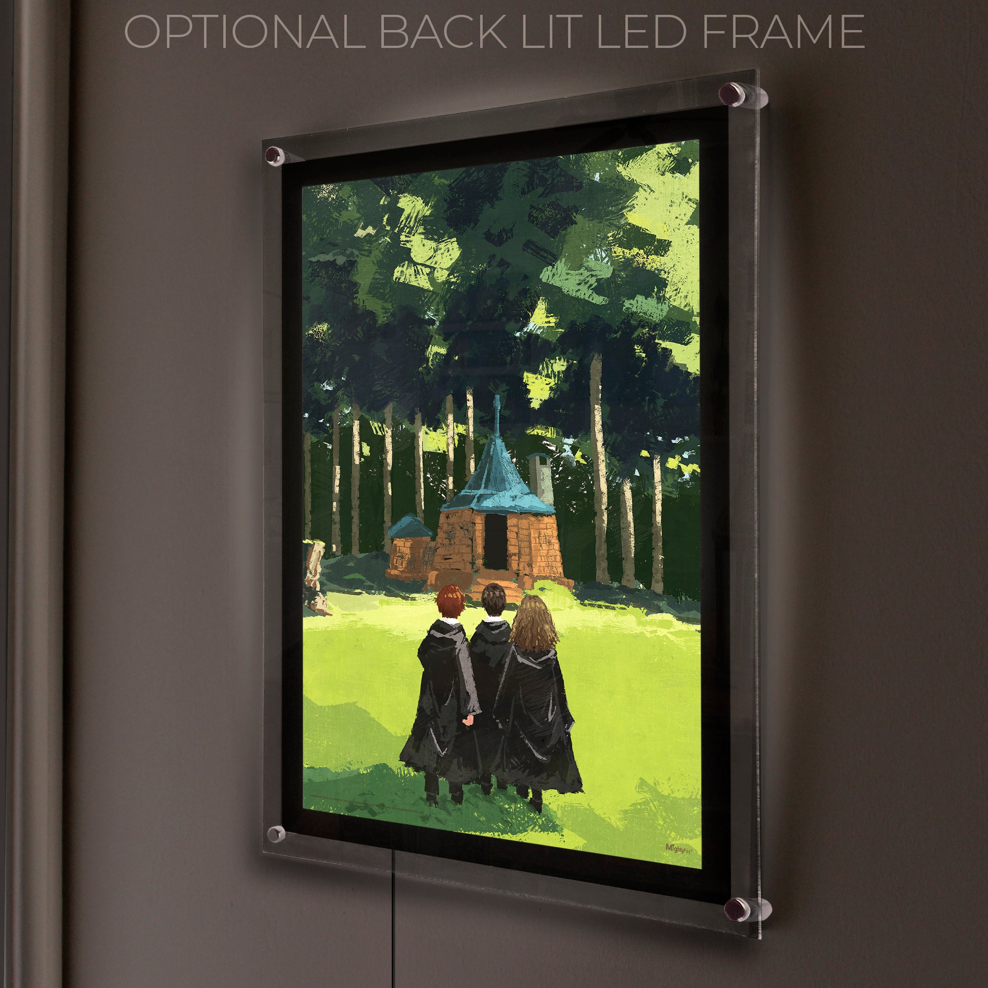 Harry Potter (Trio Visits Hagrids Hut) MightyPrint™ Wall Art MP17240891
