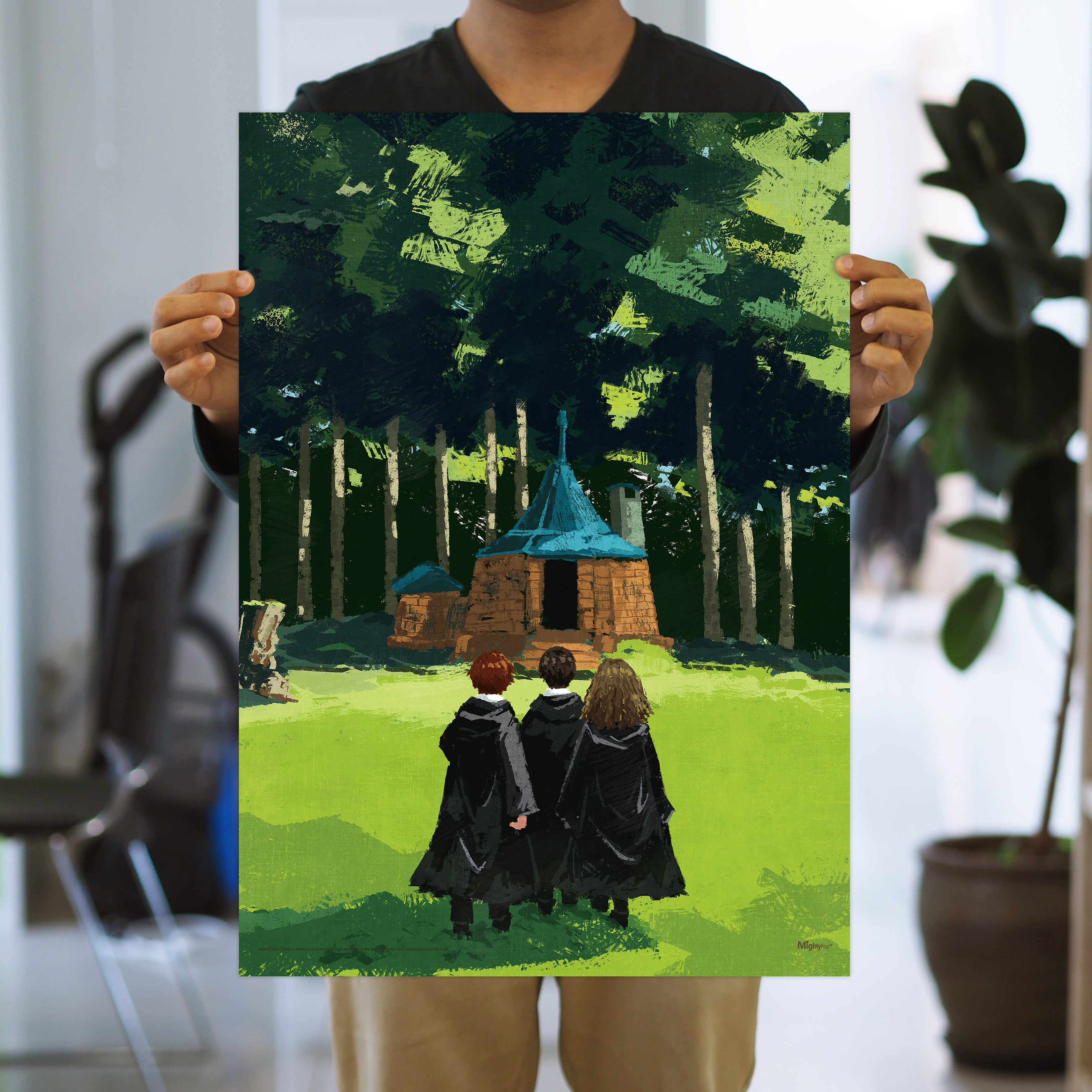 Harry Potter (Trio Visits Hagrids Hut) MightyPrint™ Wall Art MP17240891