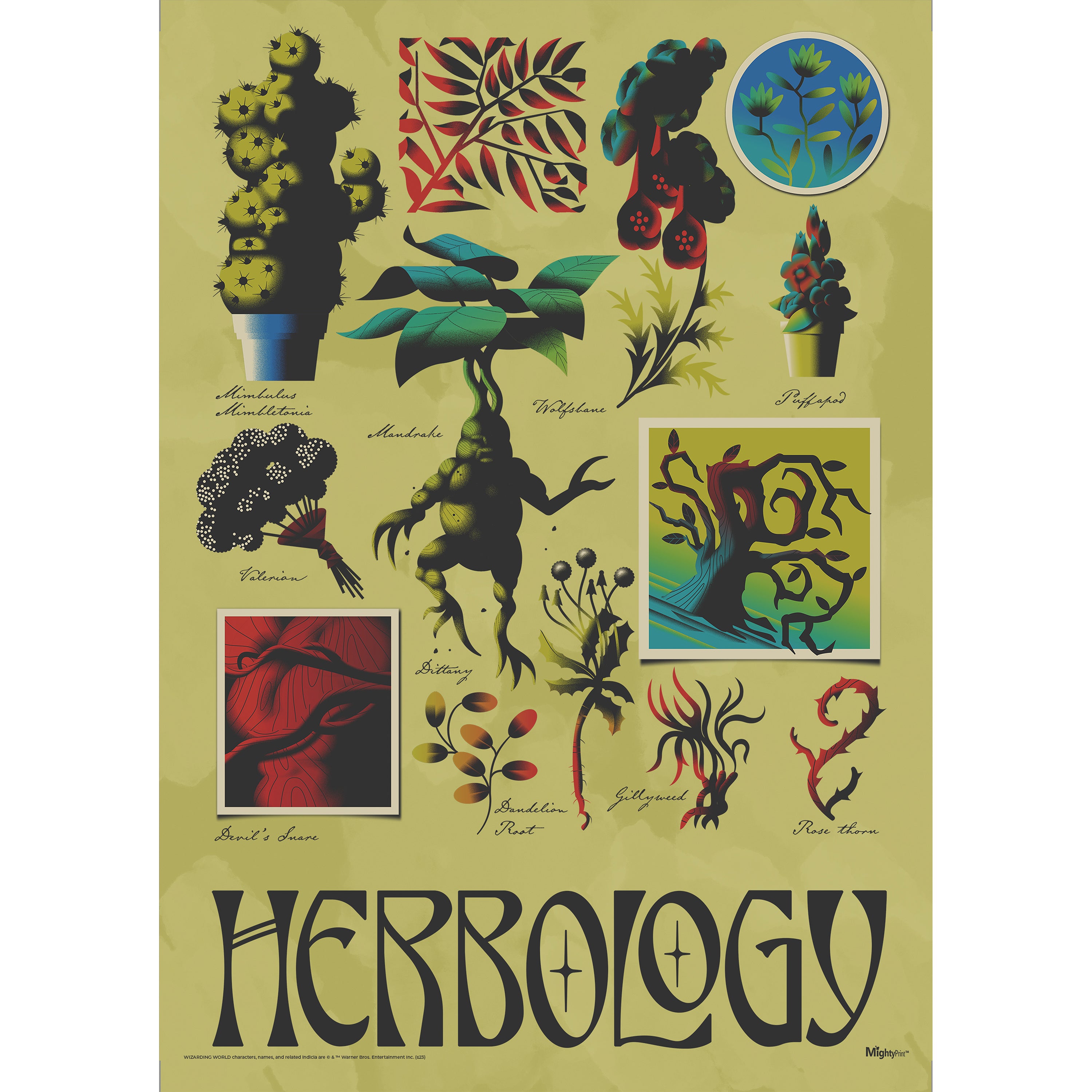 Harry Potter (Herbology) MightyPrint™ Wall Art MP17240894