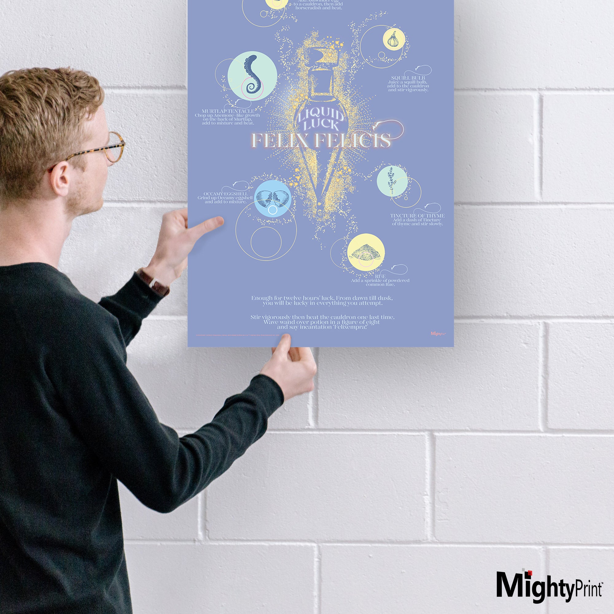 Harry Potter (Liquid Luck) MightyPrint™ Wall Art MP17240895