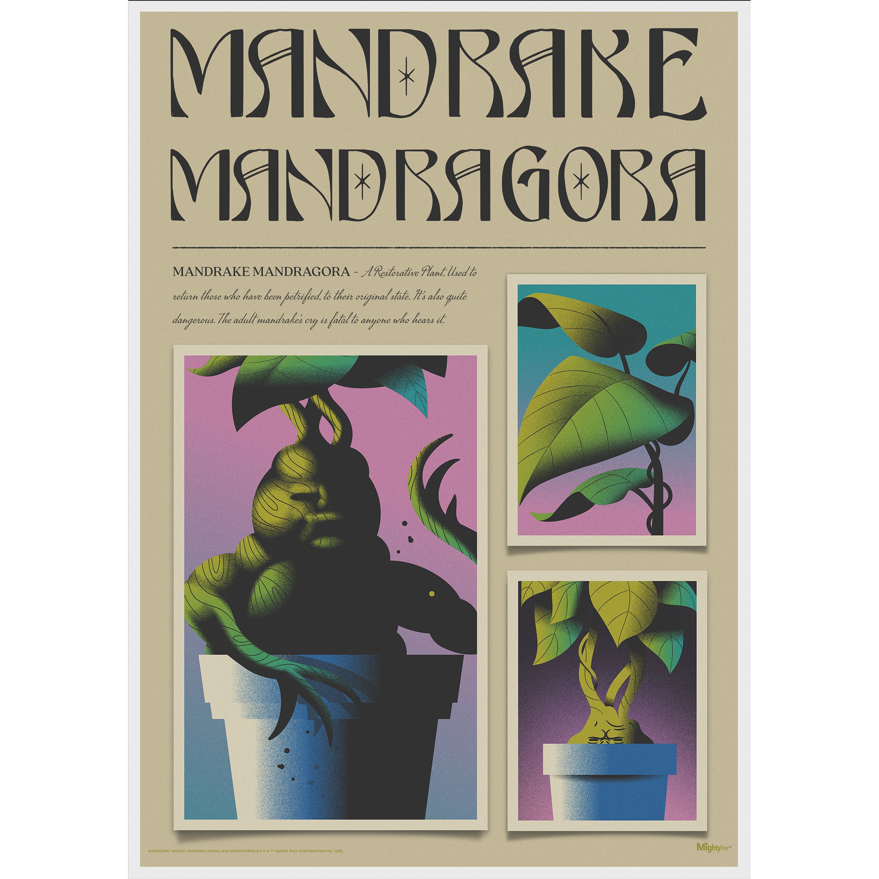 Harry Potter (Mandrake Mandragora) MightyPrint™ Wall Art MP17240897
