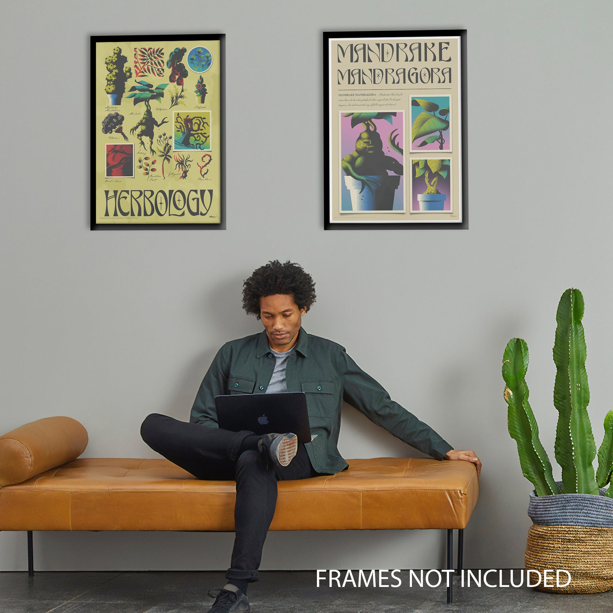Harry Potter (Mandrake Mandragora) MightyPrint™ Wall Art MP17240897