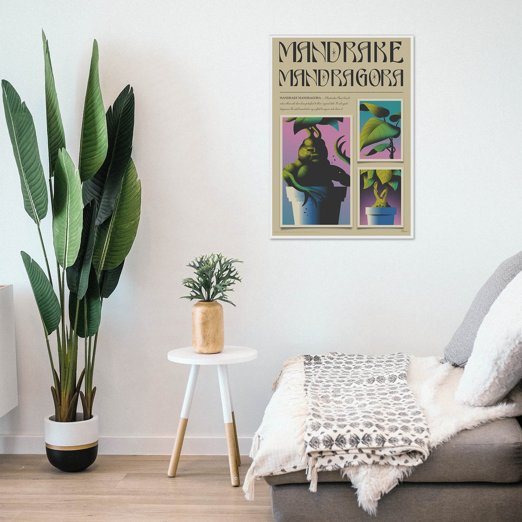 Harry Potter (Mandrake Mandragora) MightyPrint™ Wall Art MP17240897