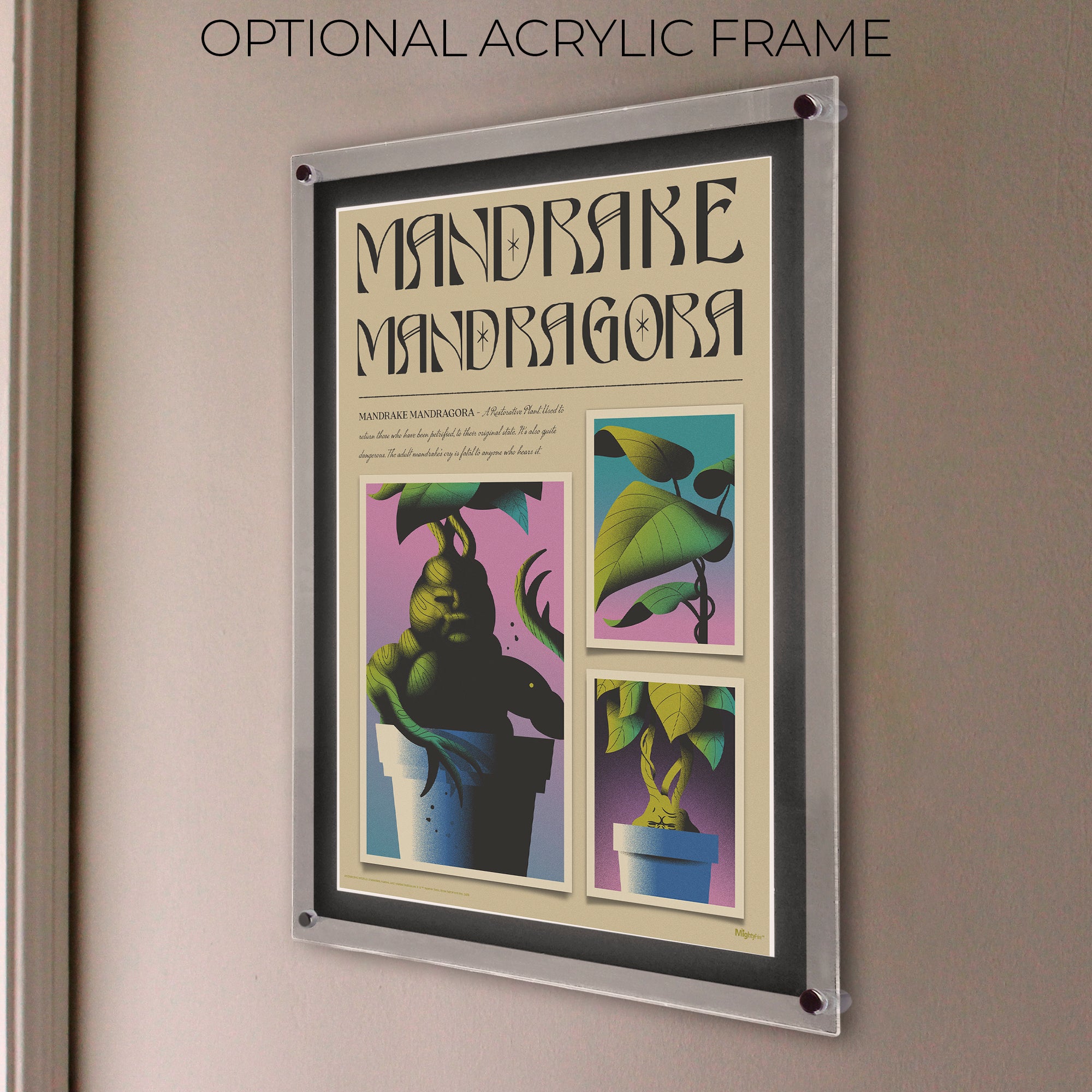 Harry Potter (Mandrake Mandragora) MightyPrint™ Wall Art MP17240897