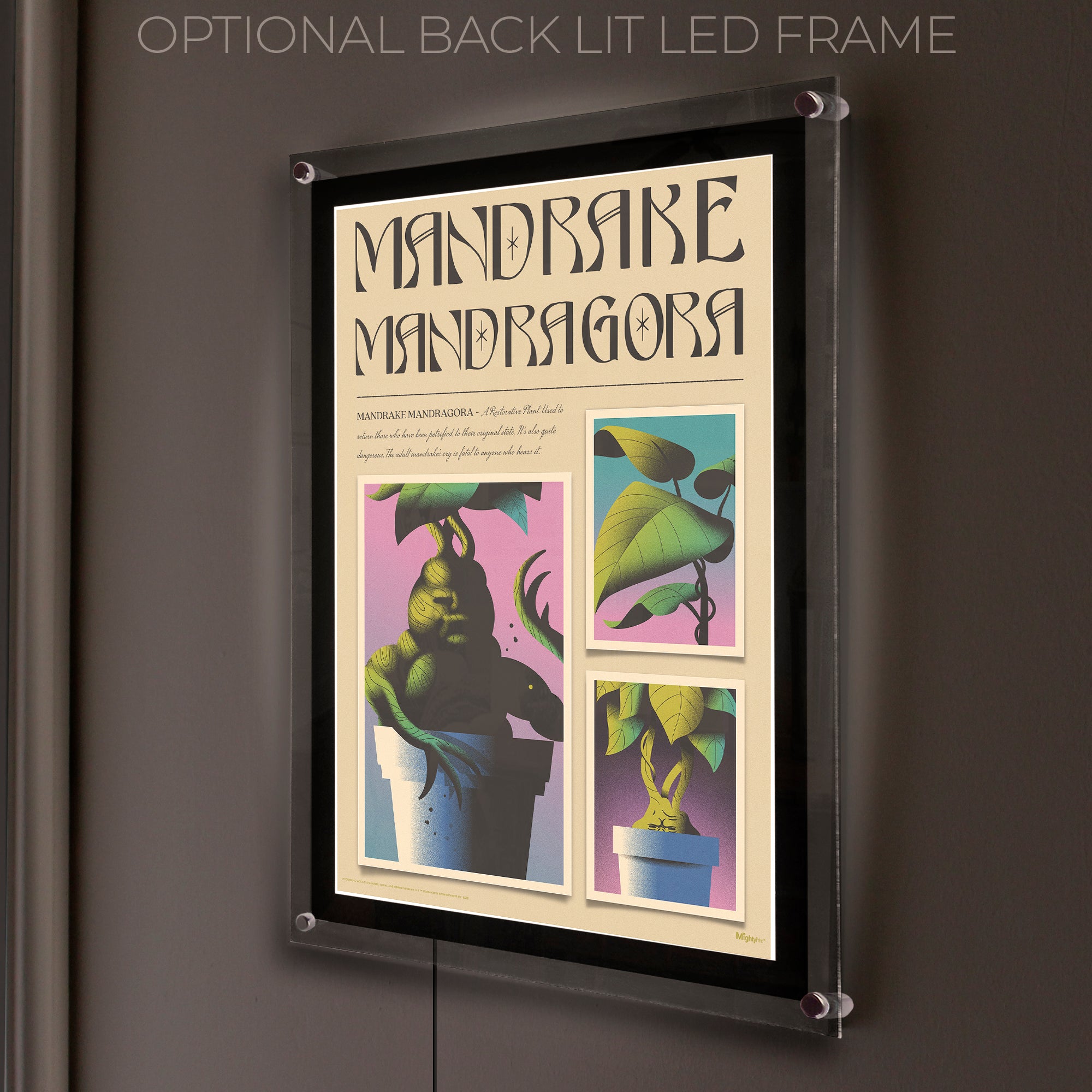 Harry Potter (Mandrake Mandragora) MightyPrint™ Wall Art MP17240897