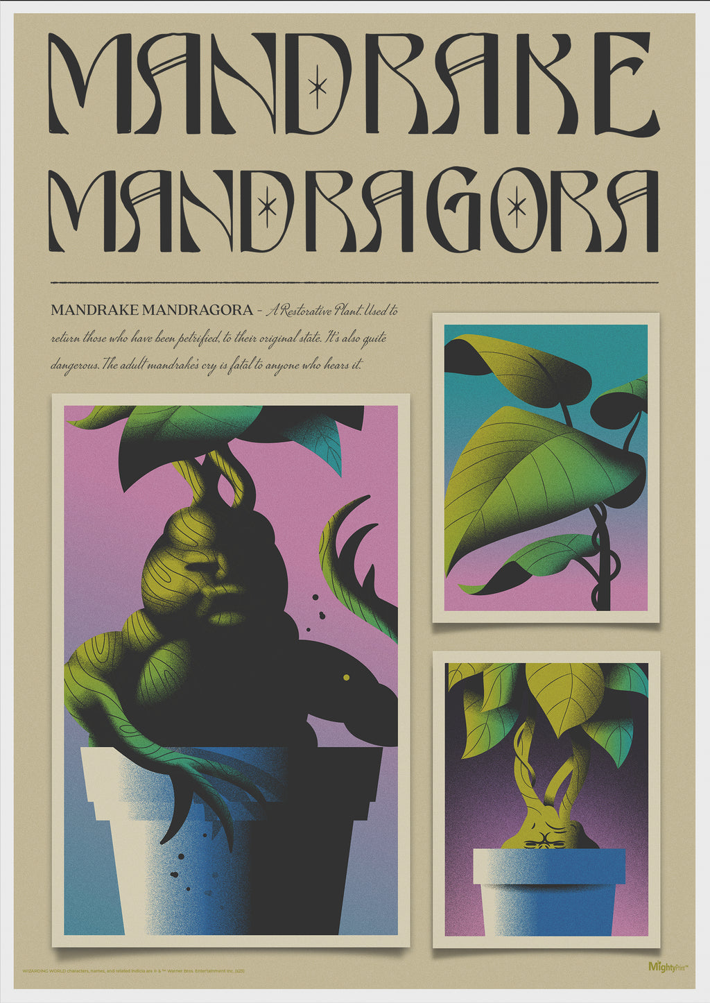 Harry Potter (Mandrake Mandragora) MightyPrint™ Wall Art MP17240897